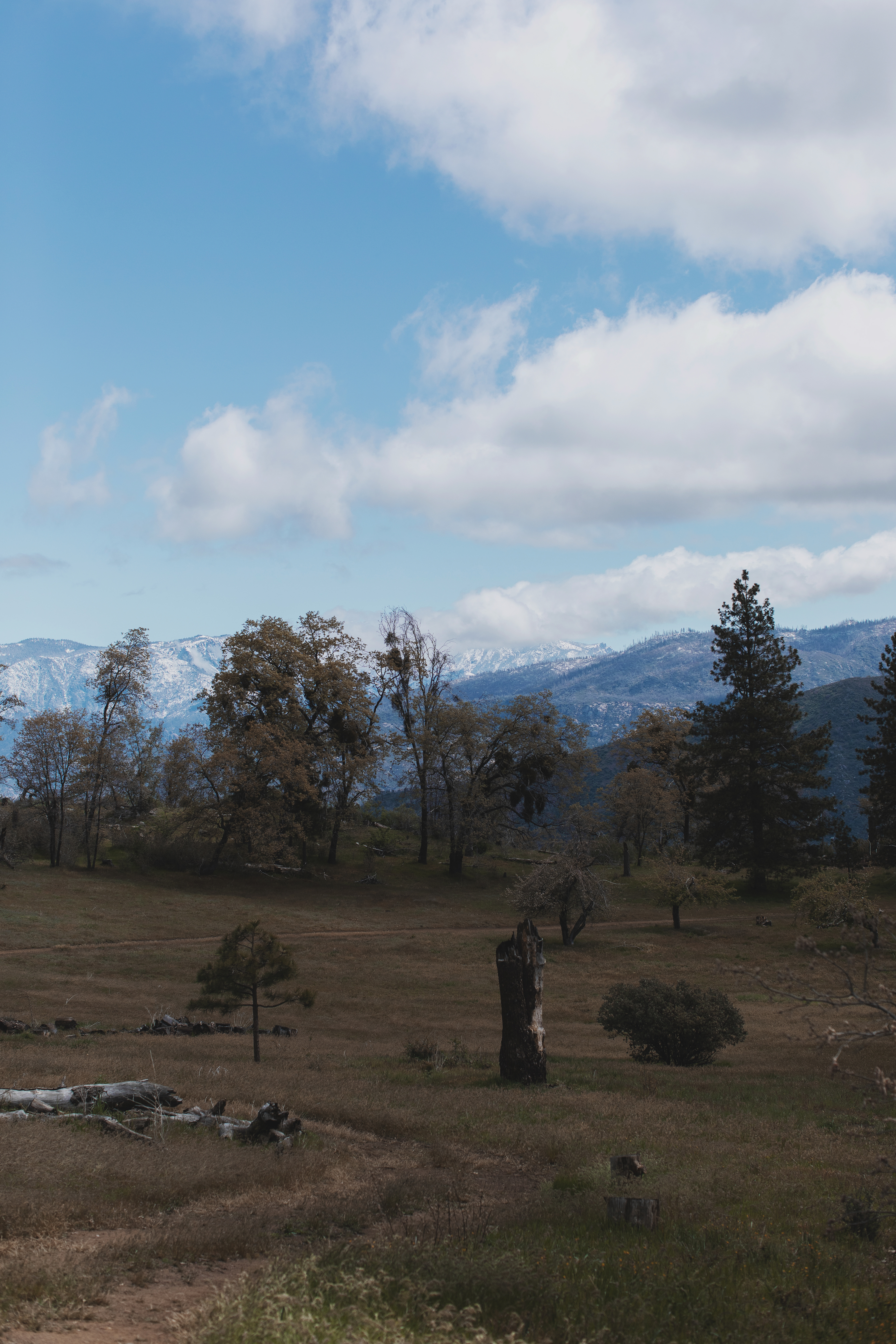 Sequoia Highland Camp