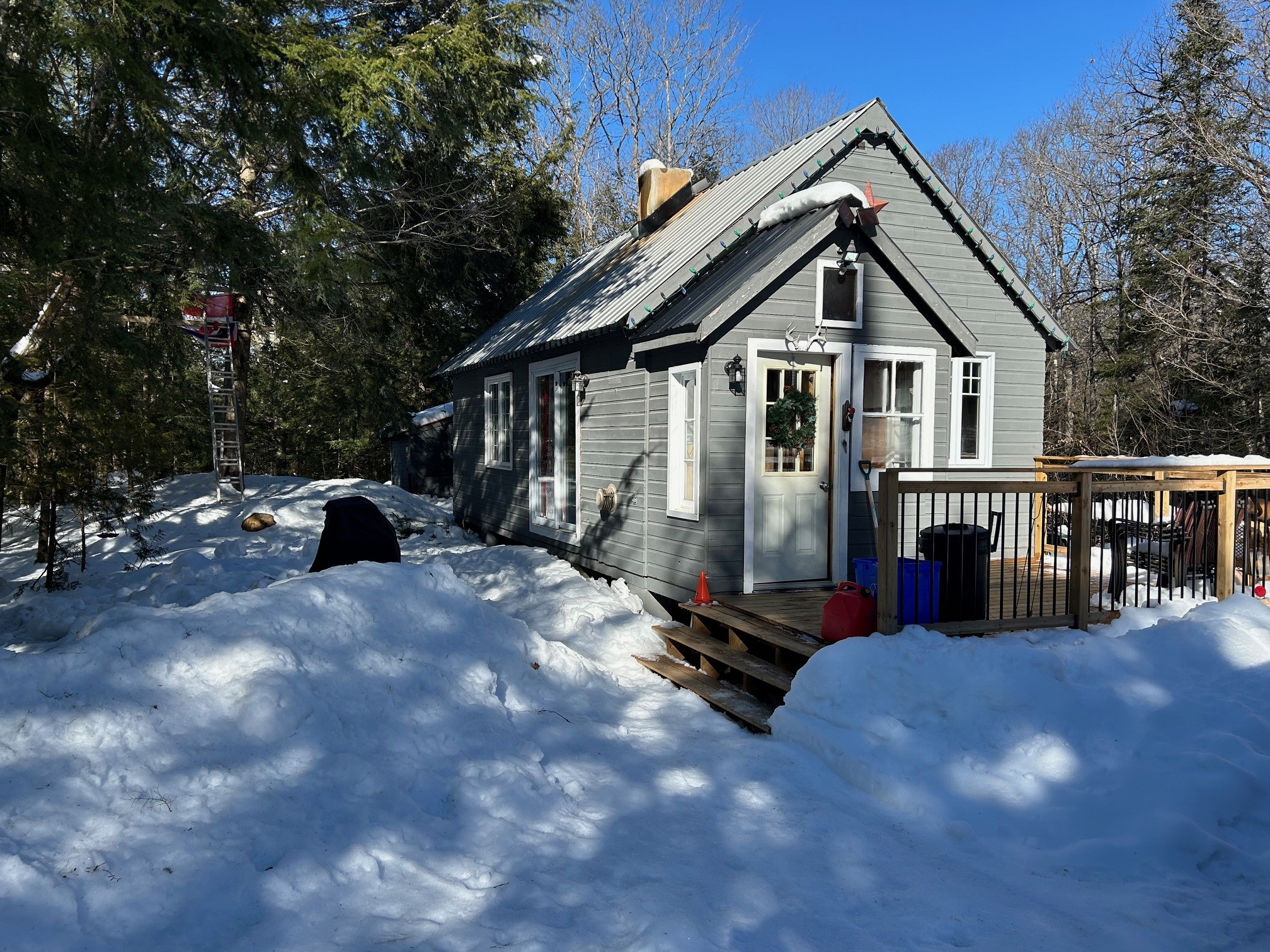 Off the Grid Camp - Oasis Cabin