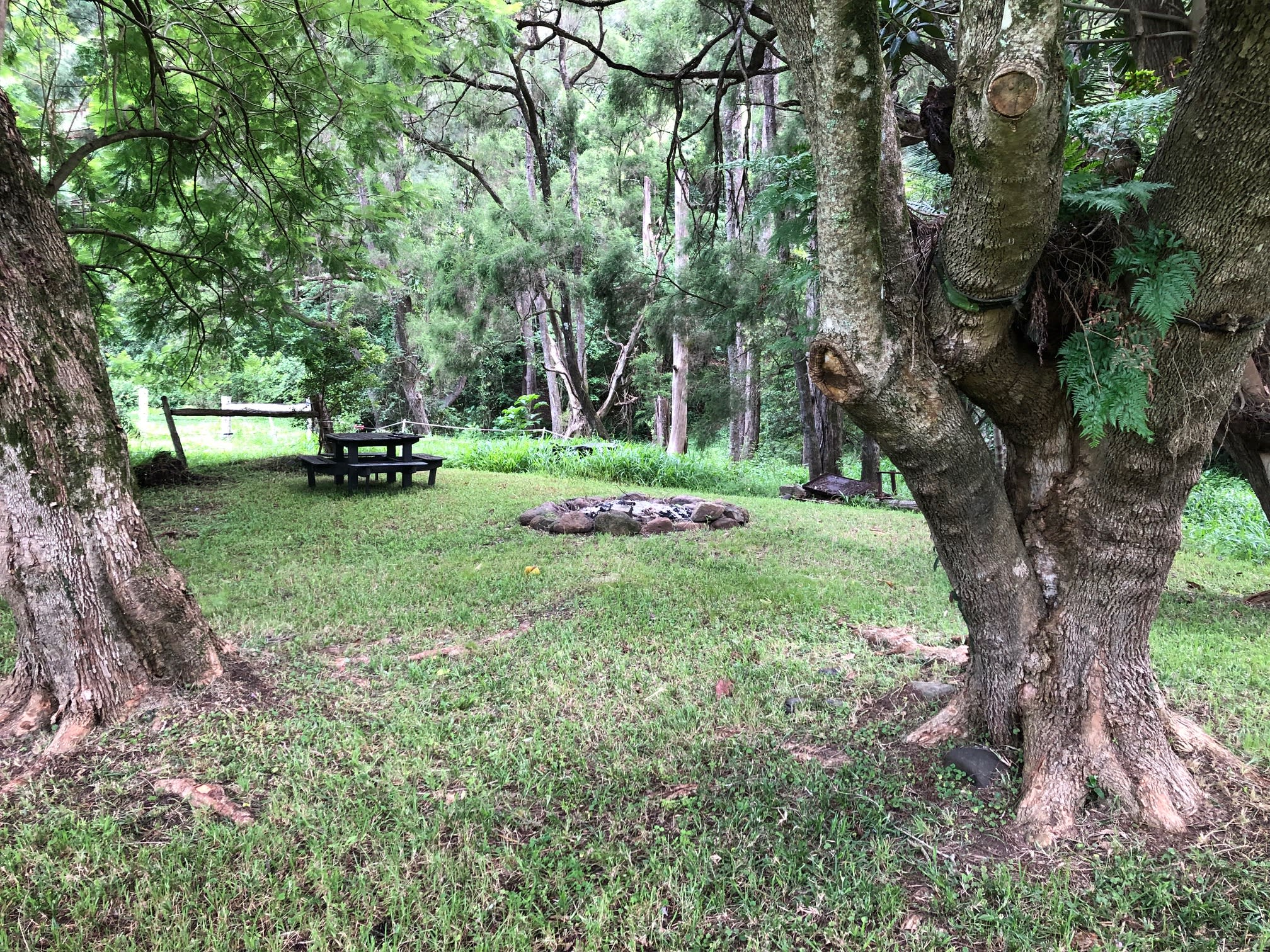 Roseberry Creek Beef Cattle Farm