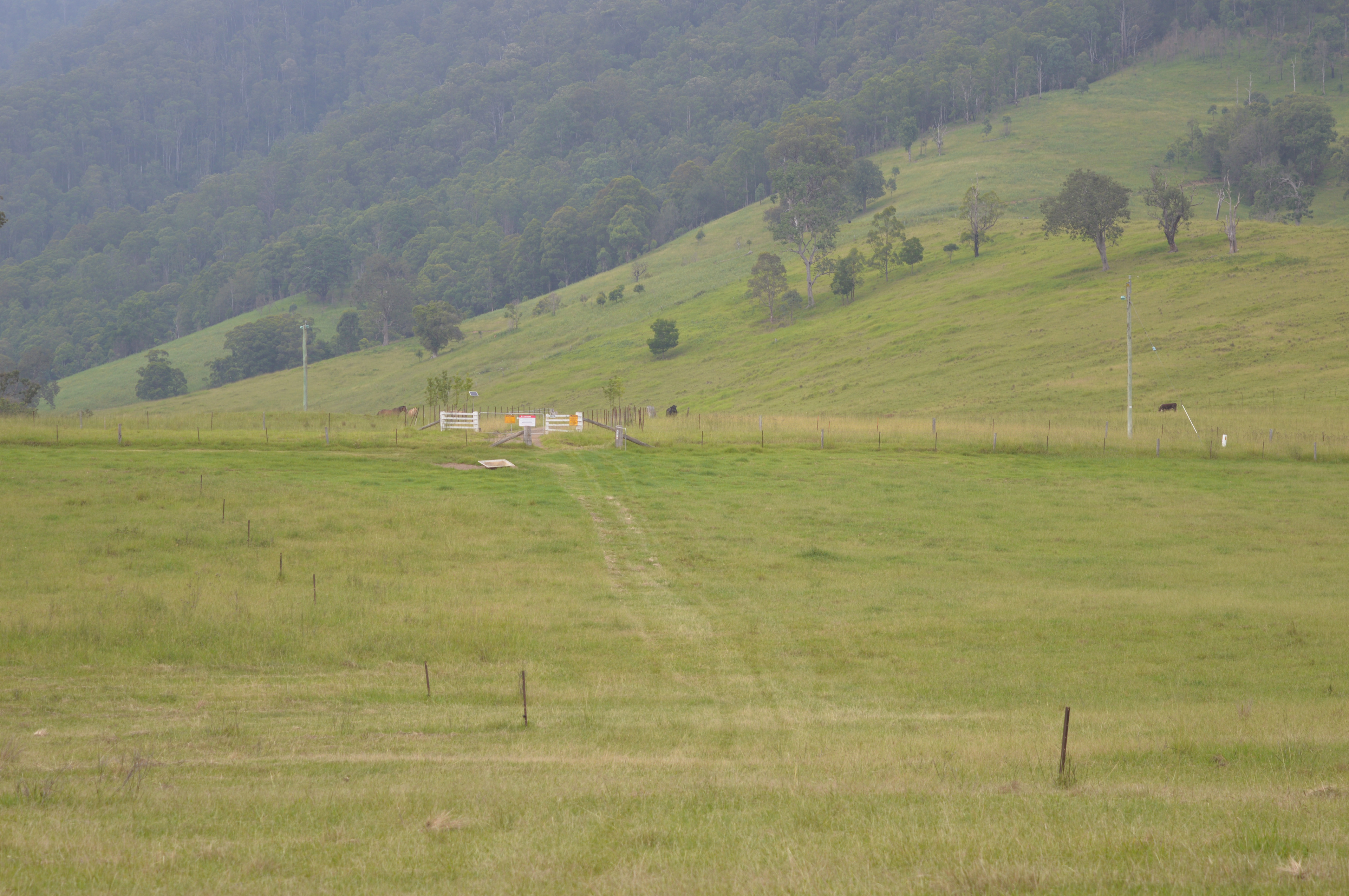 River Front Campsites