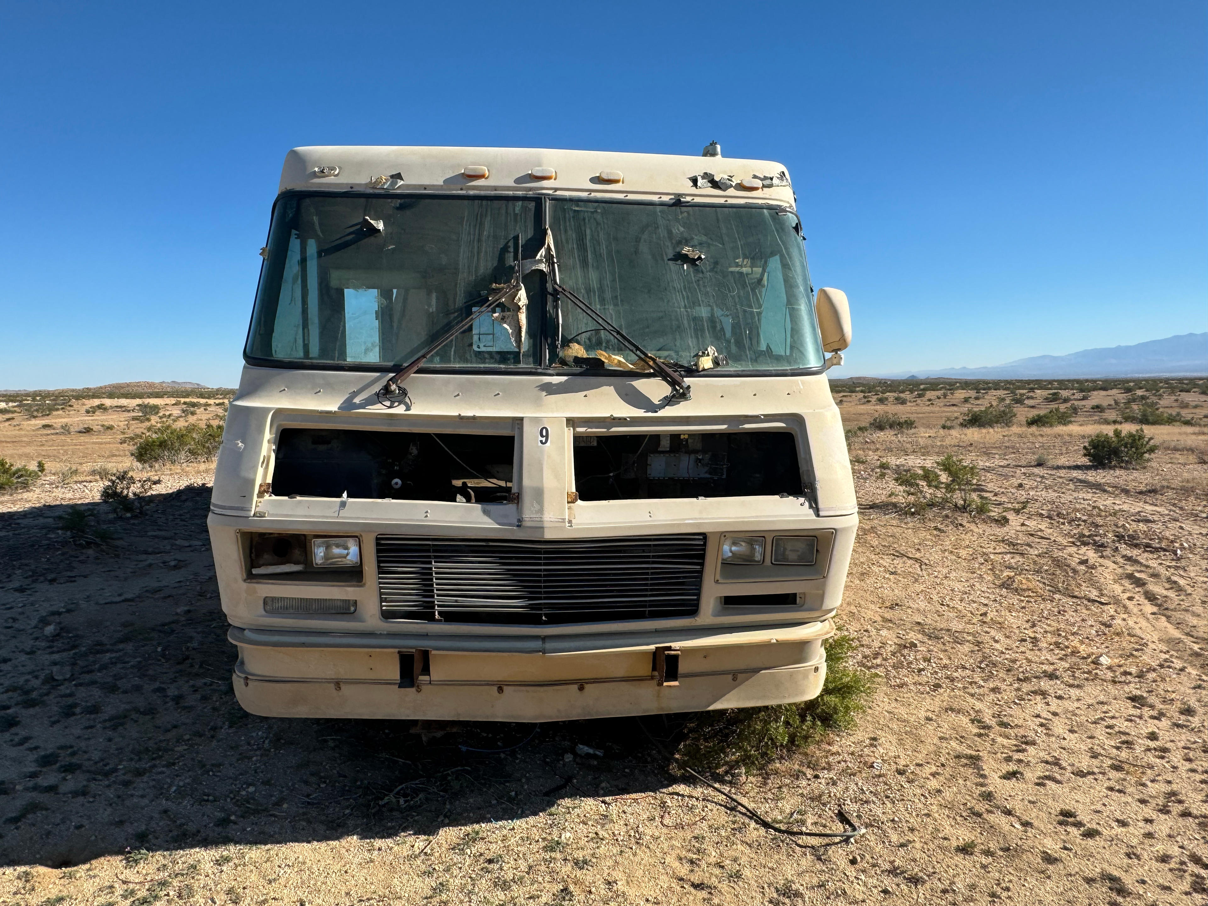 SOCIAL DESERT 🏜️ RAVE