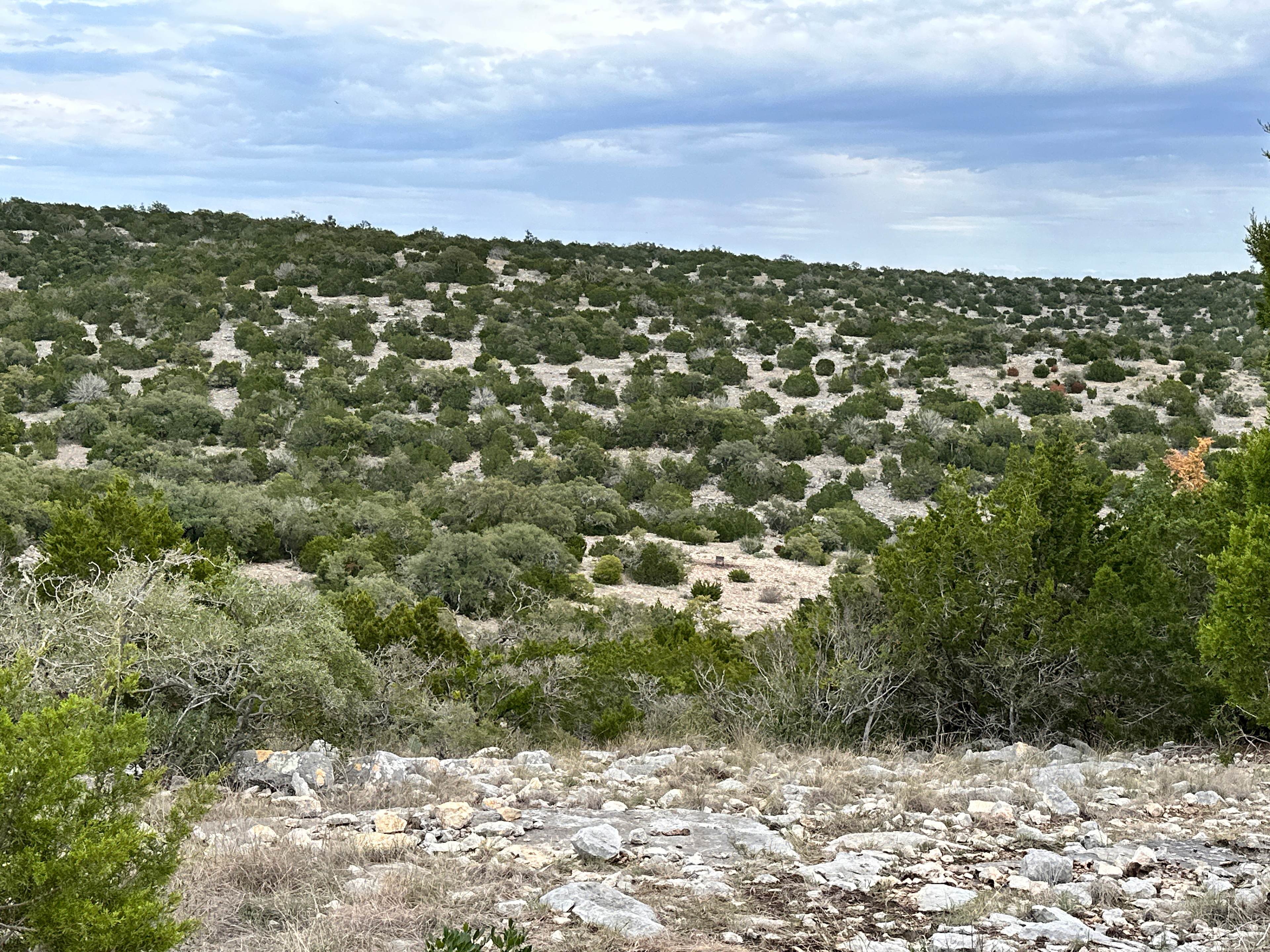 Star Gazer's Primitive Camping Site