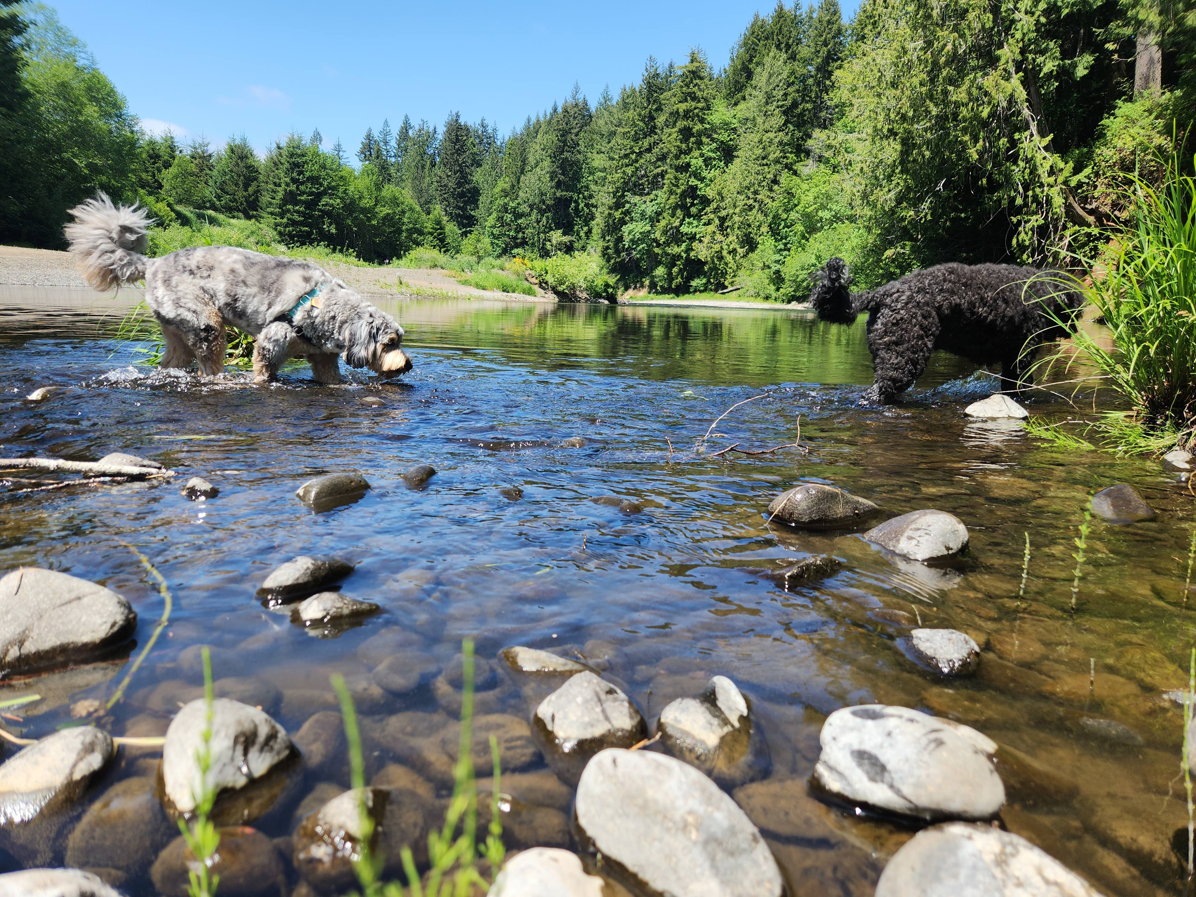 Hillside Vista RV / Creekside Camp