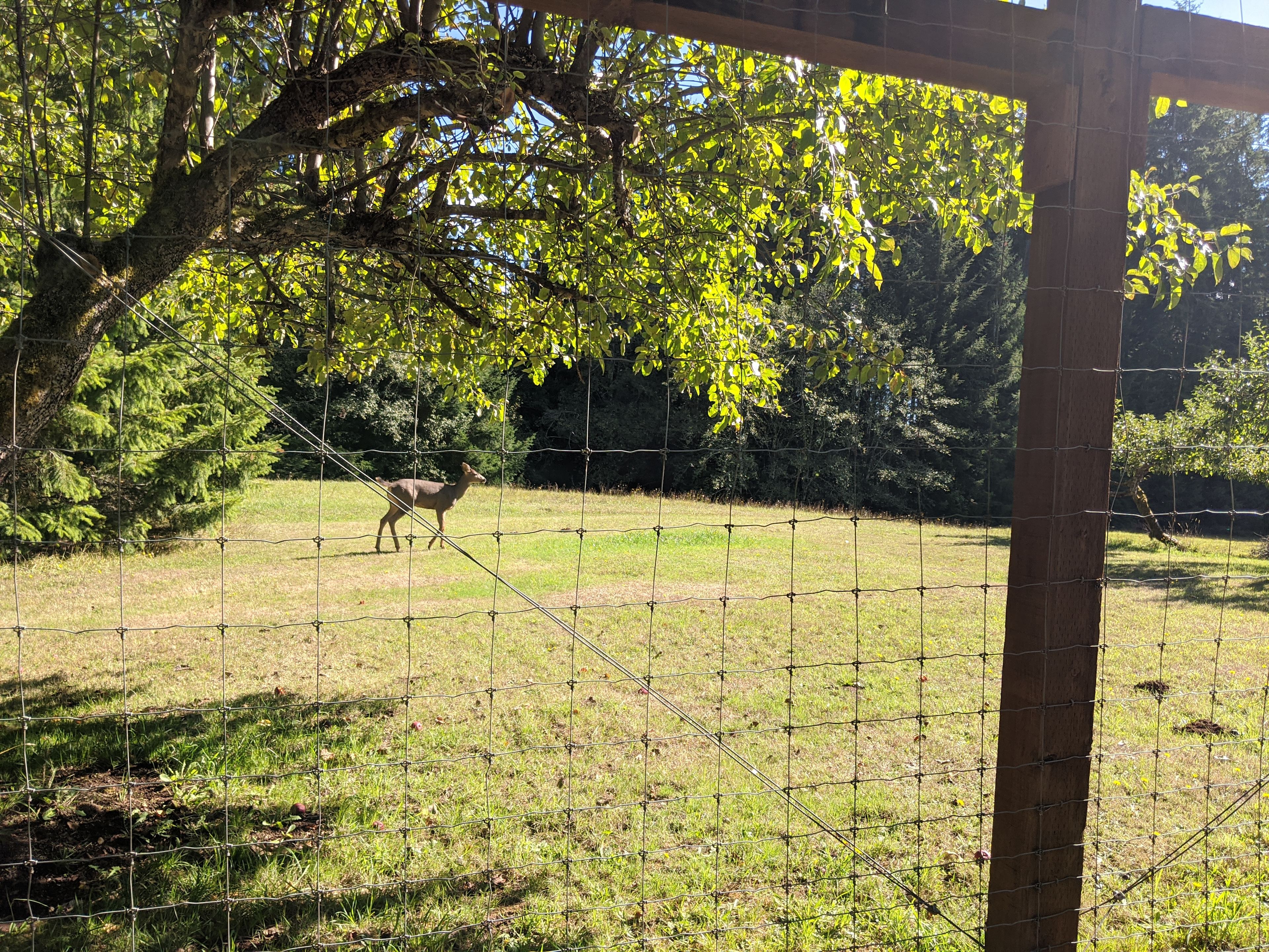 Hillside Vista RV / Creekside Camp