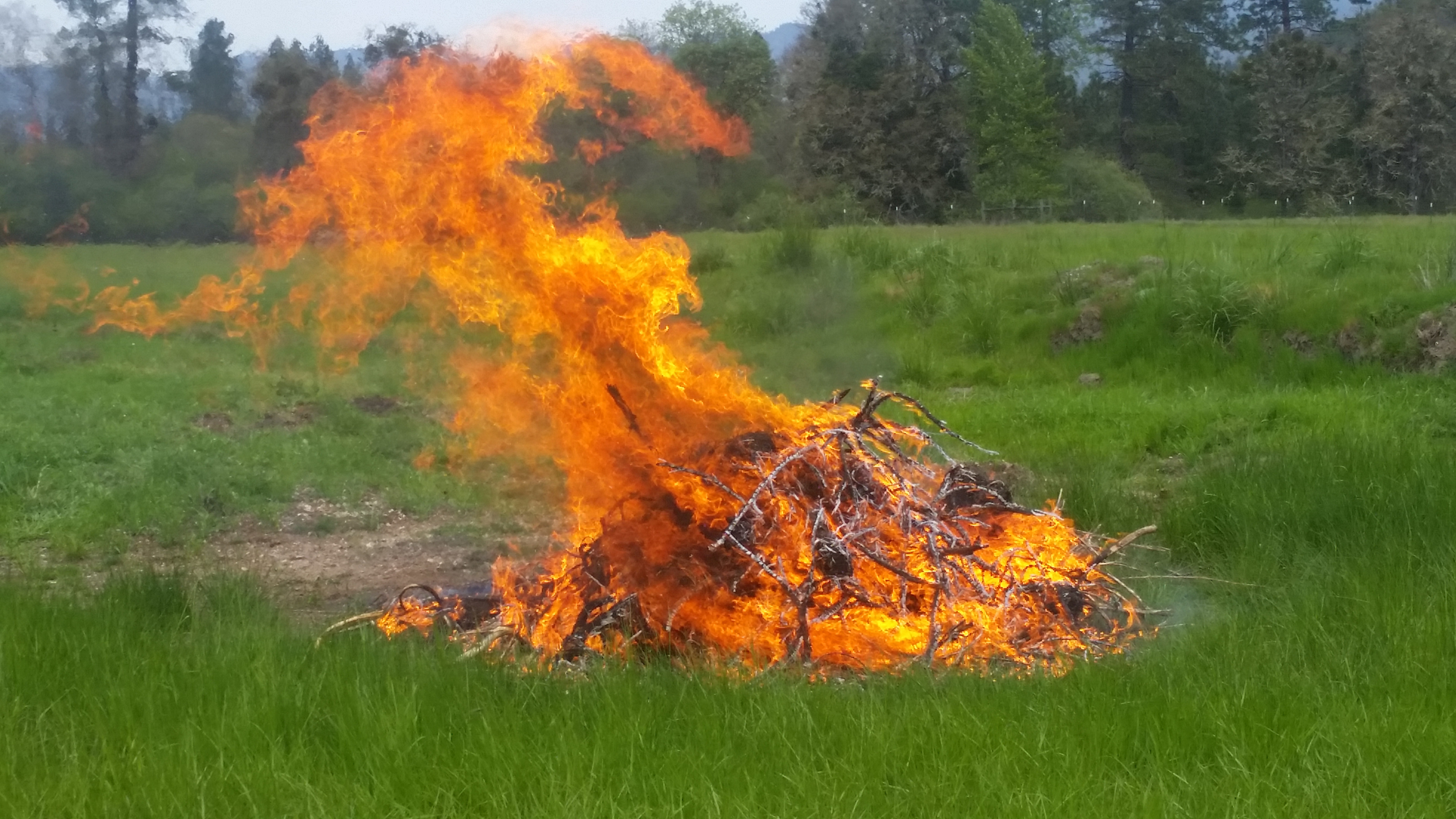 Redding Ranch - Williams Escape