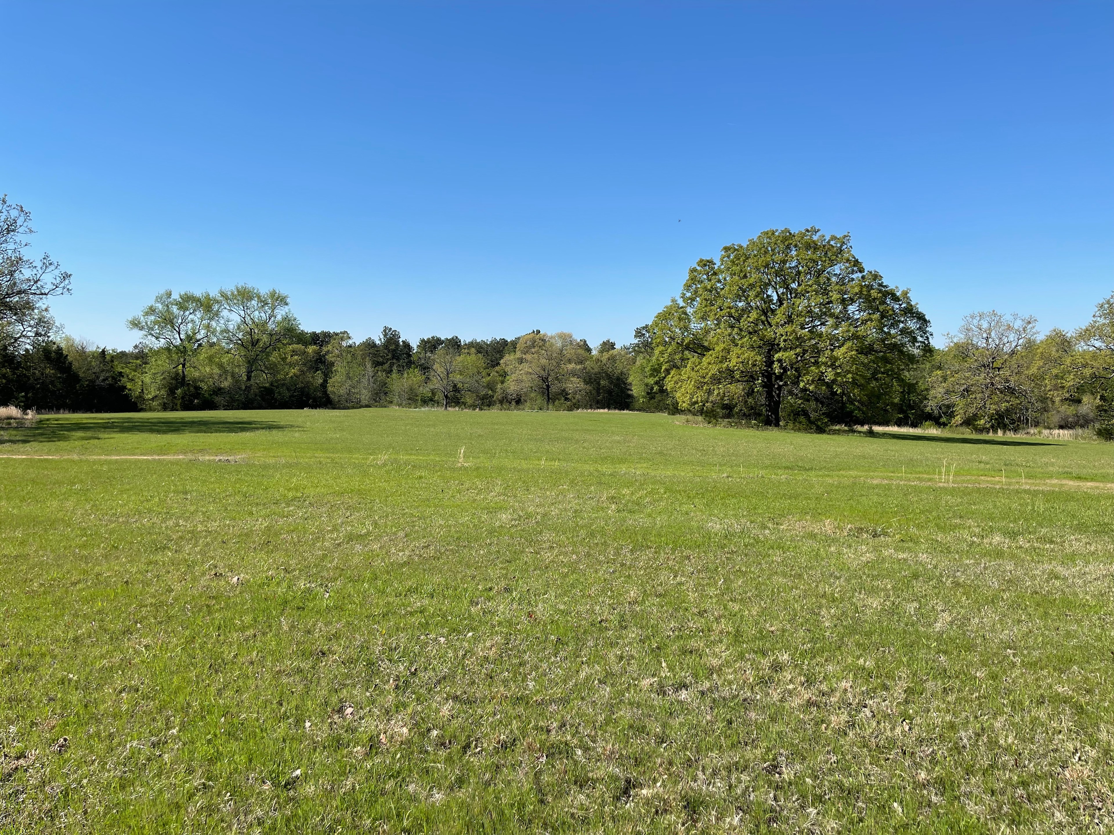 Wildcat Hollow Camp & Mountain Bike