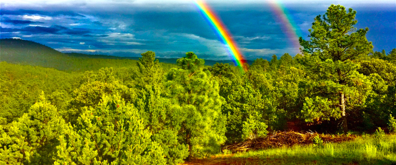 Santa Fe Treehouse Camp & Wilderness Preserve