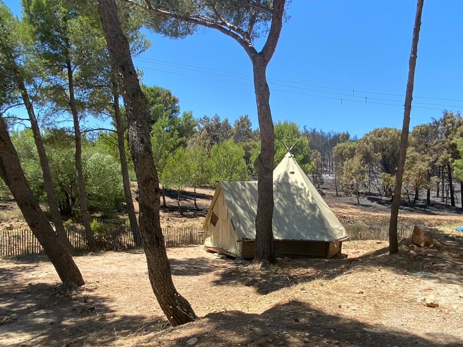 Camping Le Bois de Pins