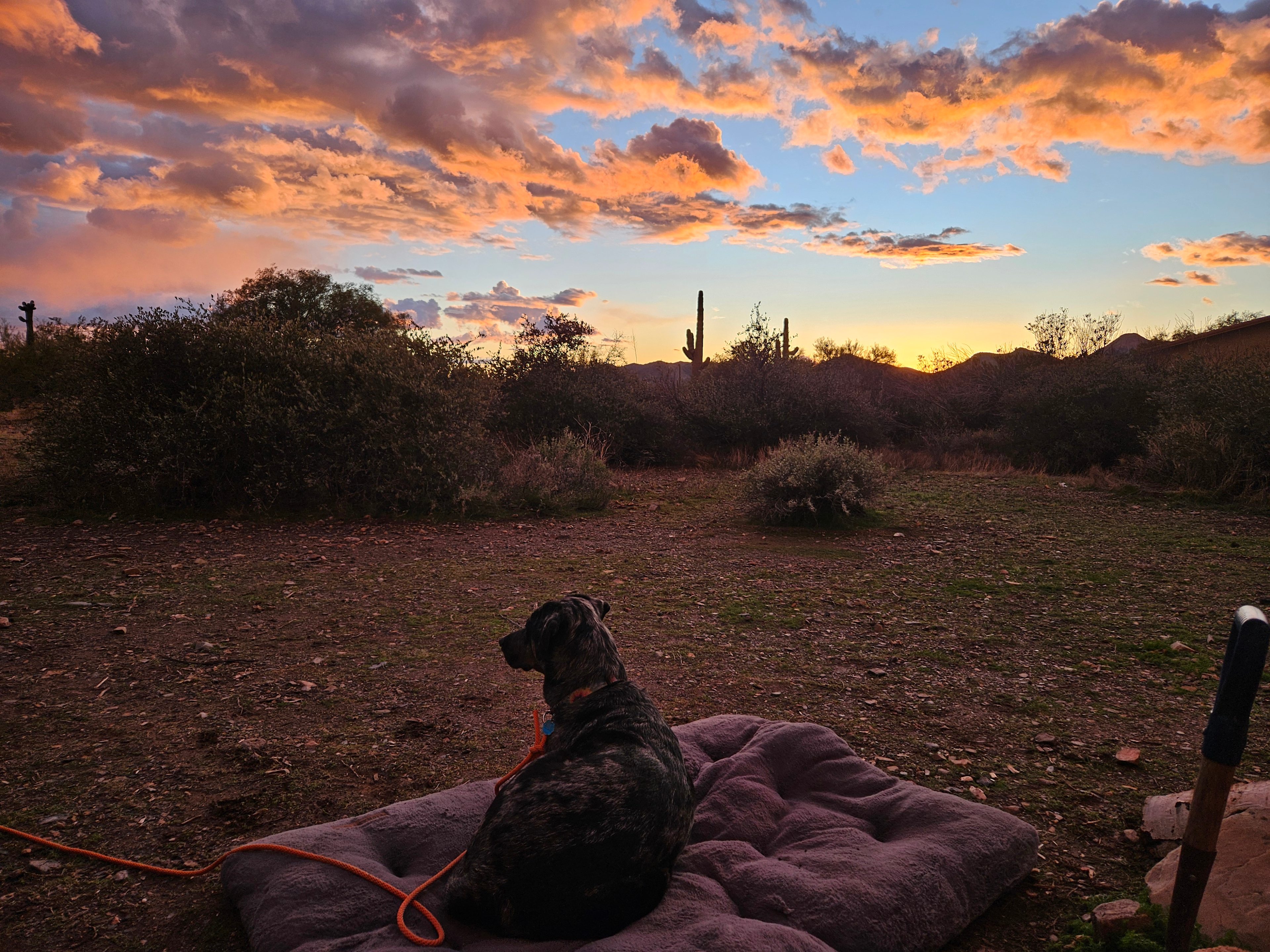 Marguerita Ranch