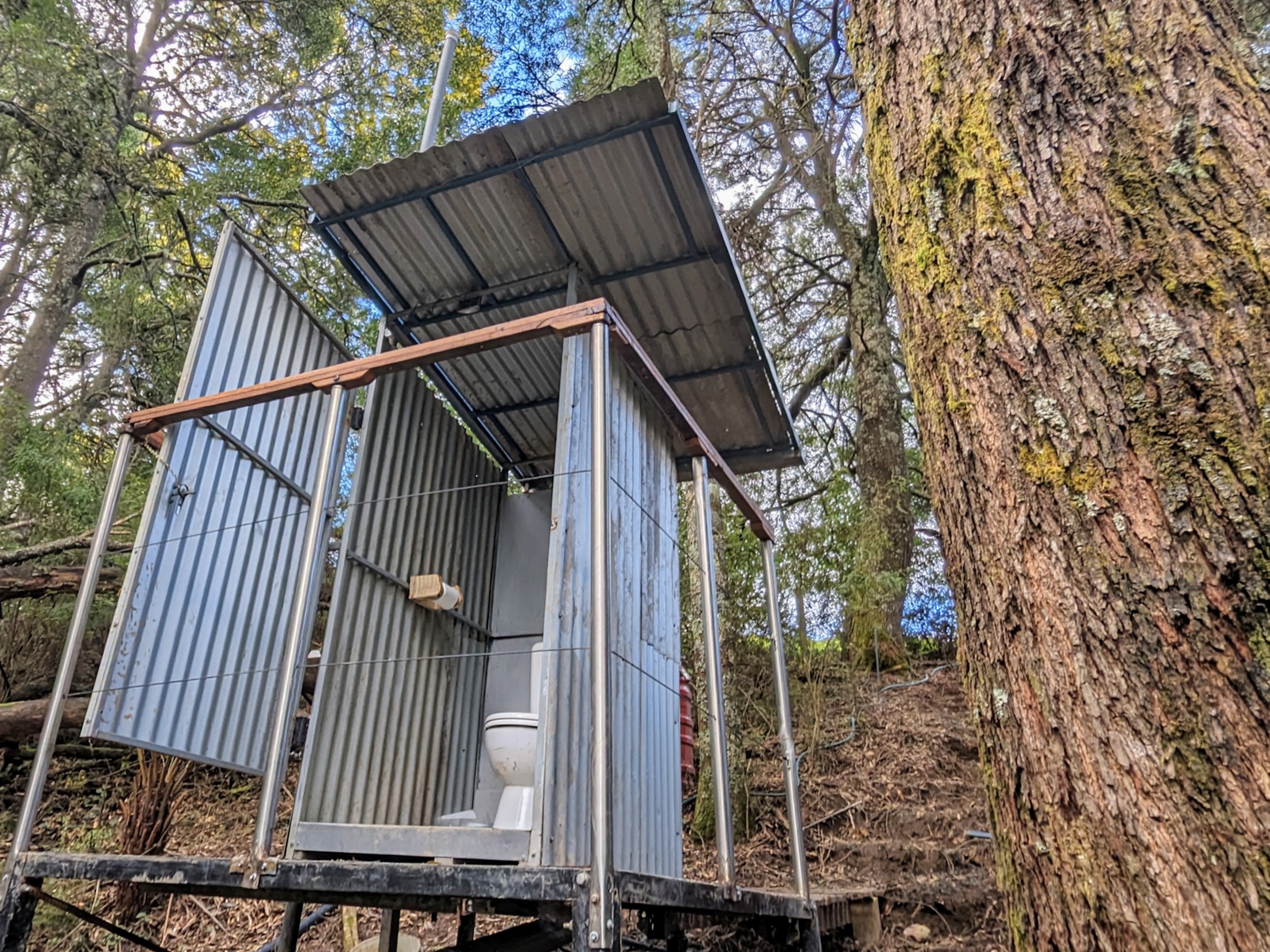 No this isn't your typical camp toilet, this is our fully functional flush toilet with views of tree ferns and all the rainforest has to offer. 