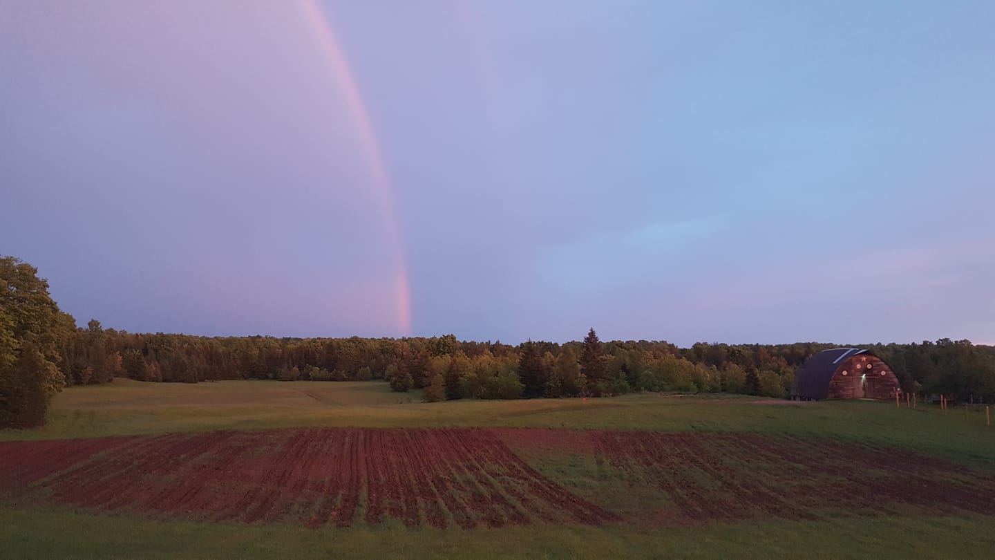 Maple Creek Farm