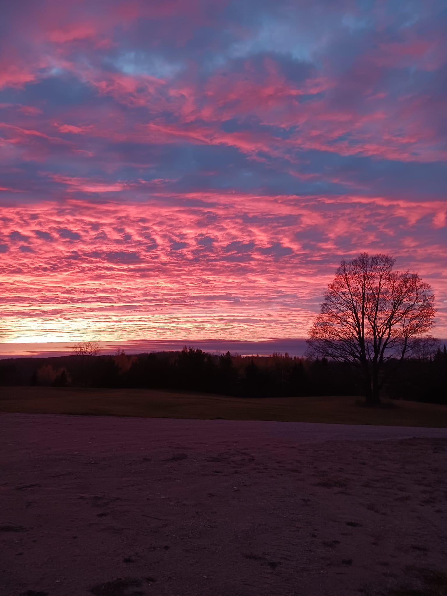 Maple Creek Farm