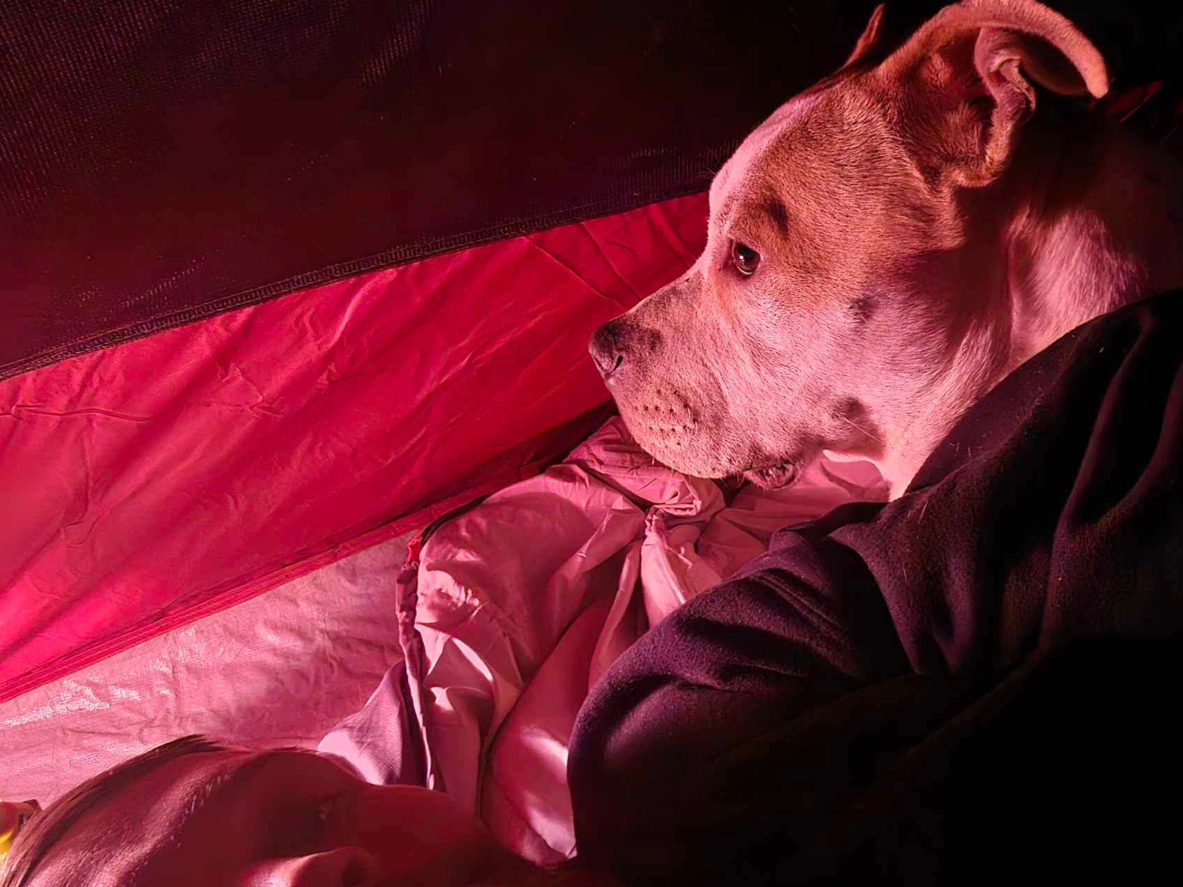 Everfree Shire Ranch