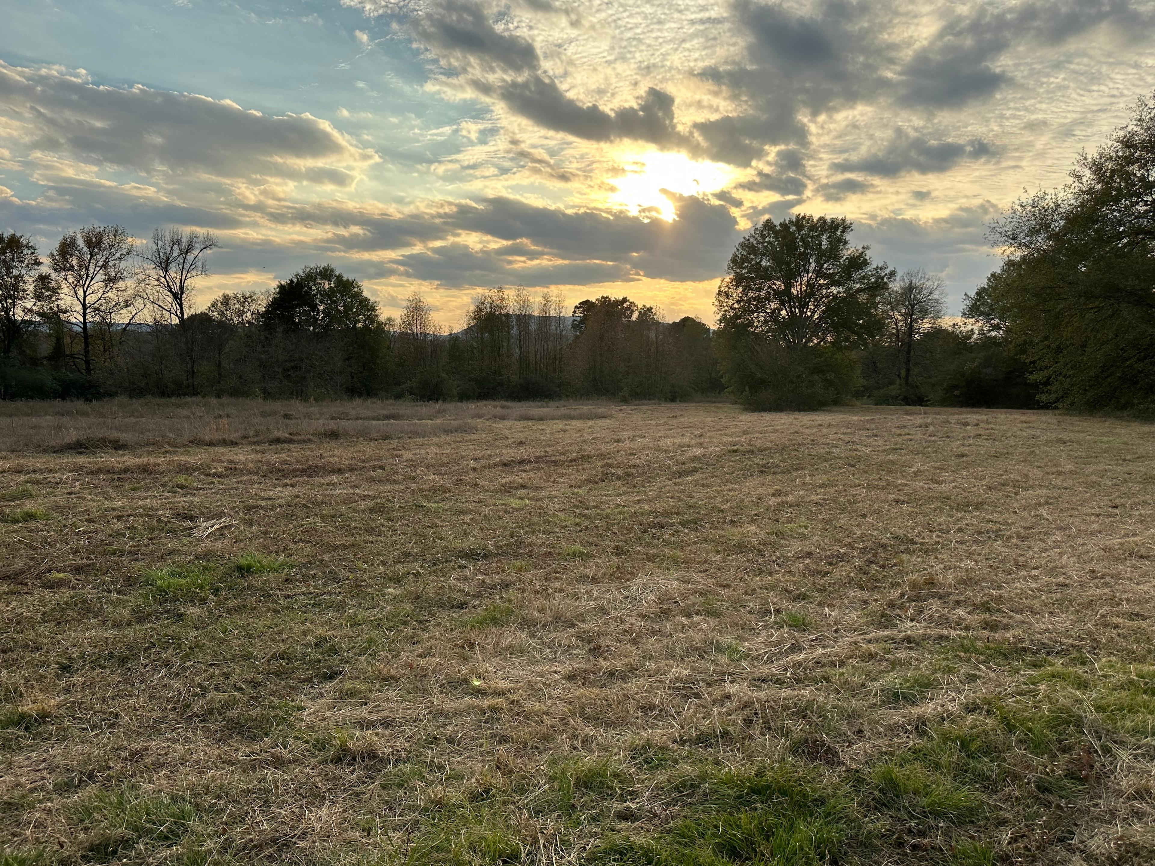 God's Country