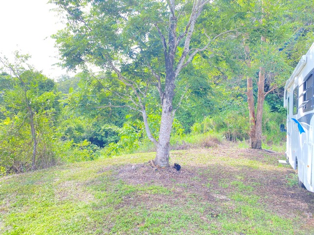 Gold Coast Hinterland Escape