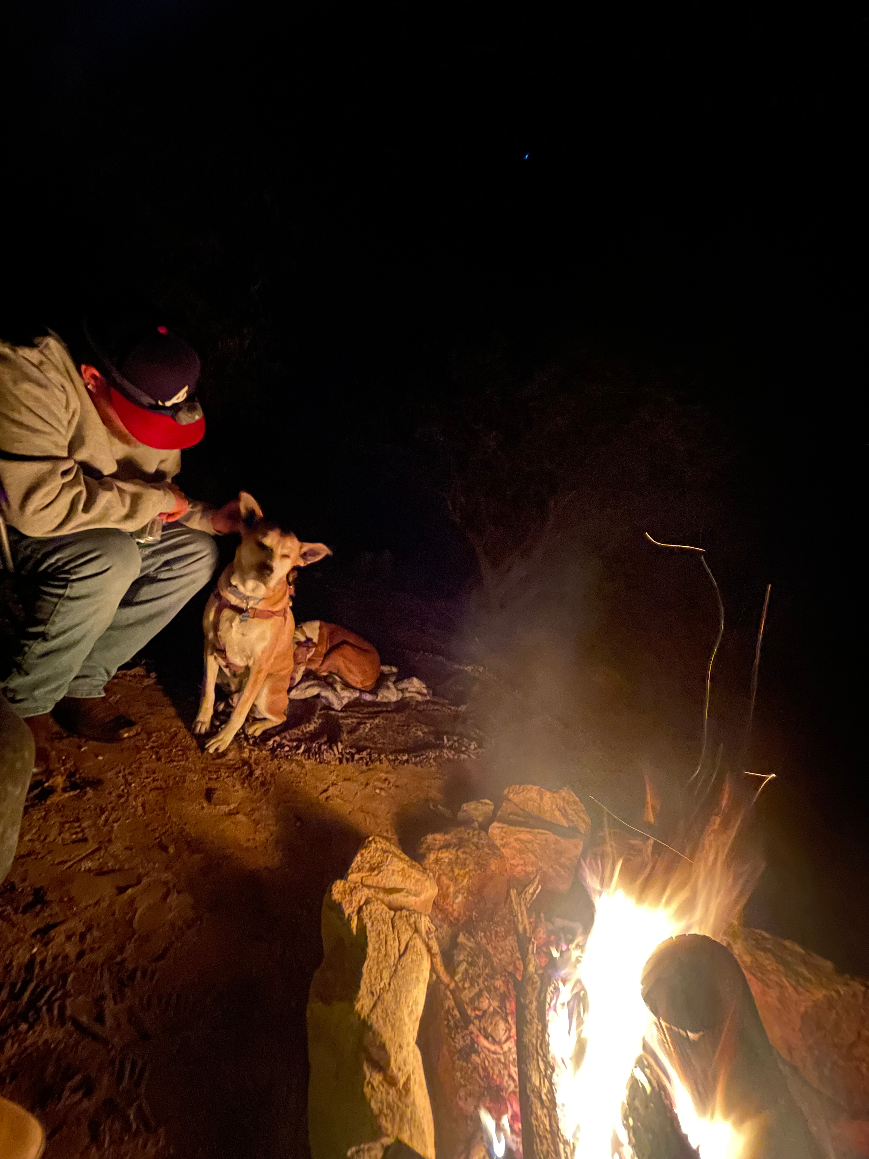 Epic Private 300 Acre Saguaro Park