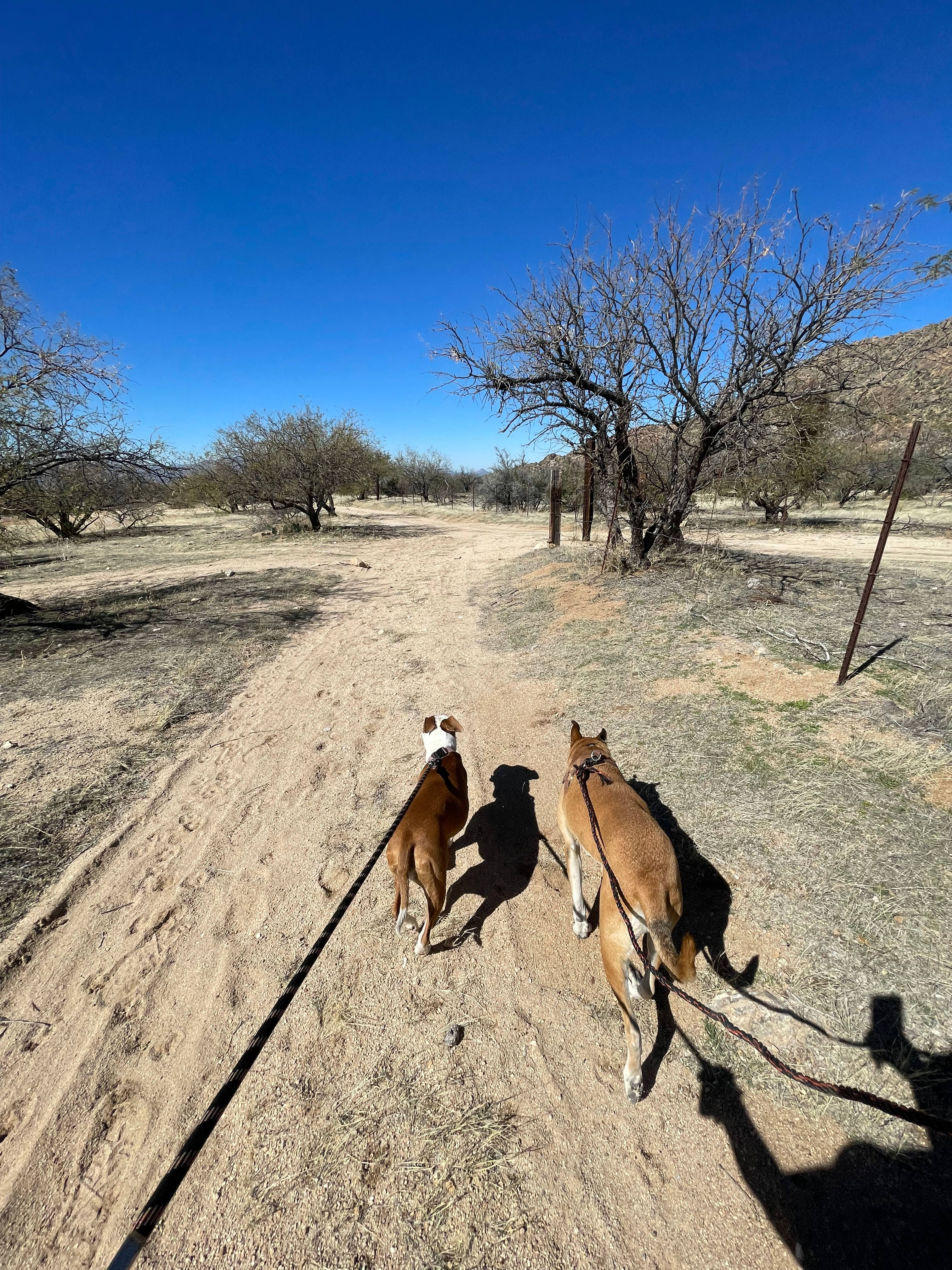 Epic Private 300 Acre Saguaro Park