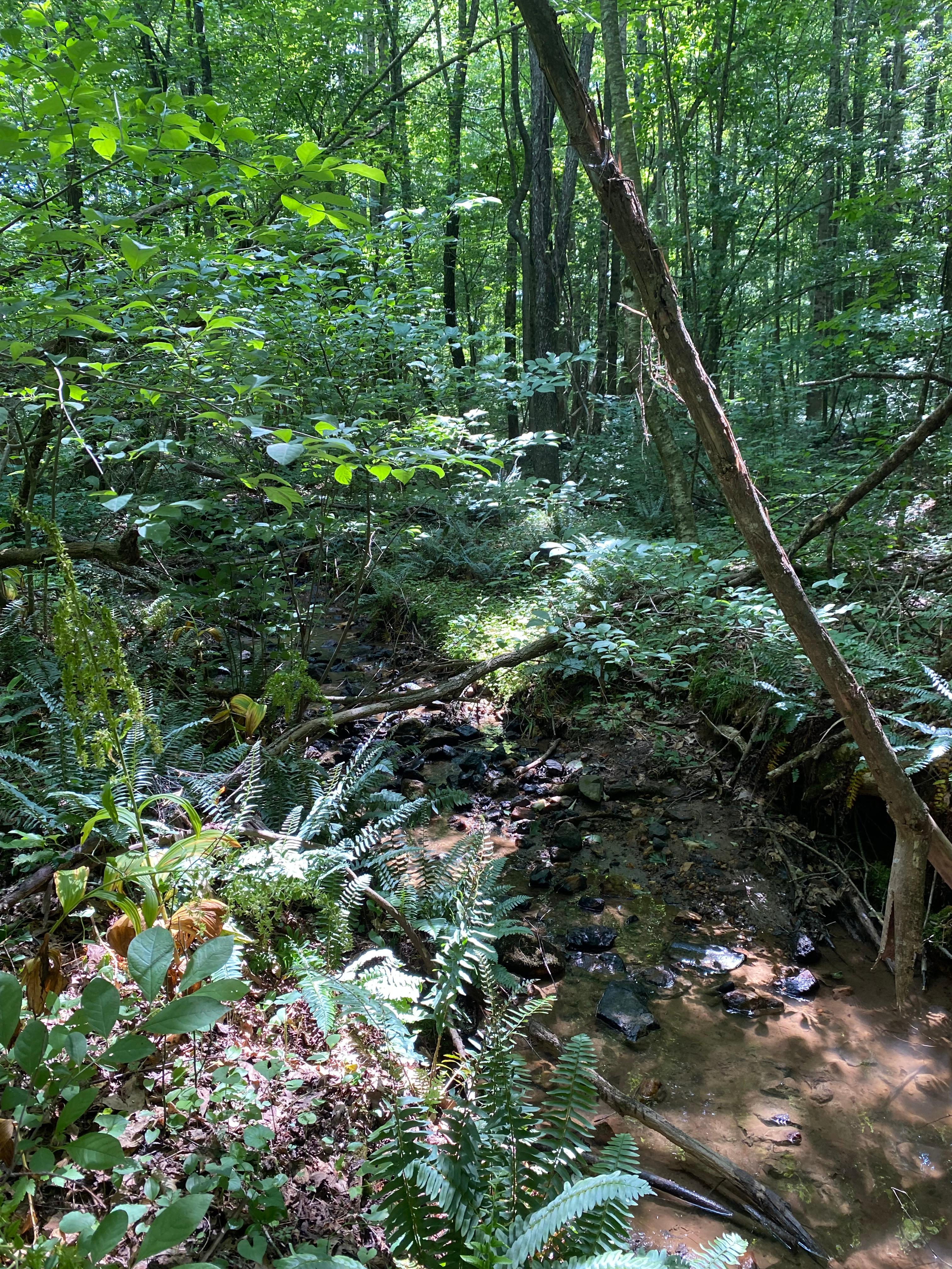 Wade Farm