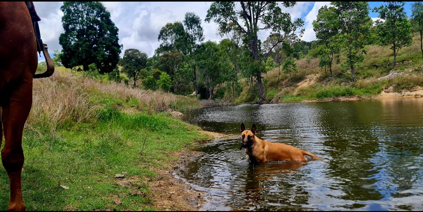 Mountain View - Mount Perry Farm