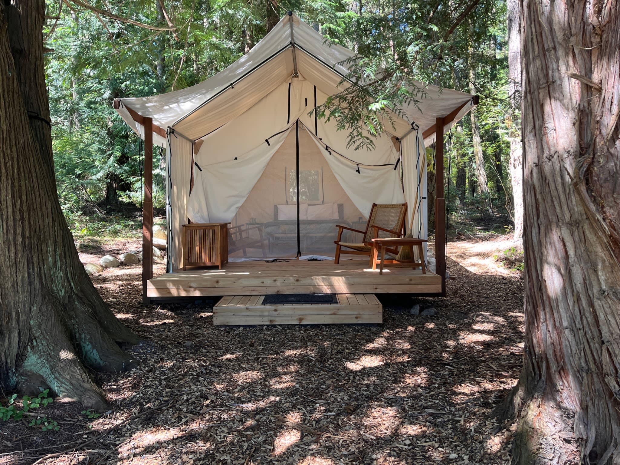Serene Camping on Lopez Island
