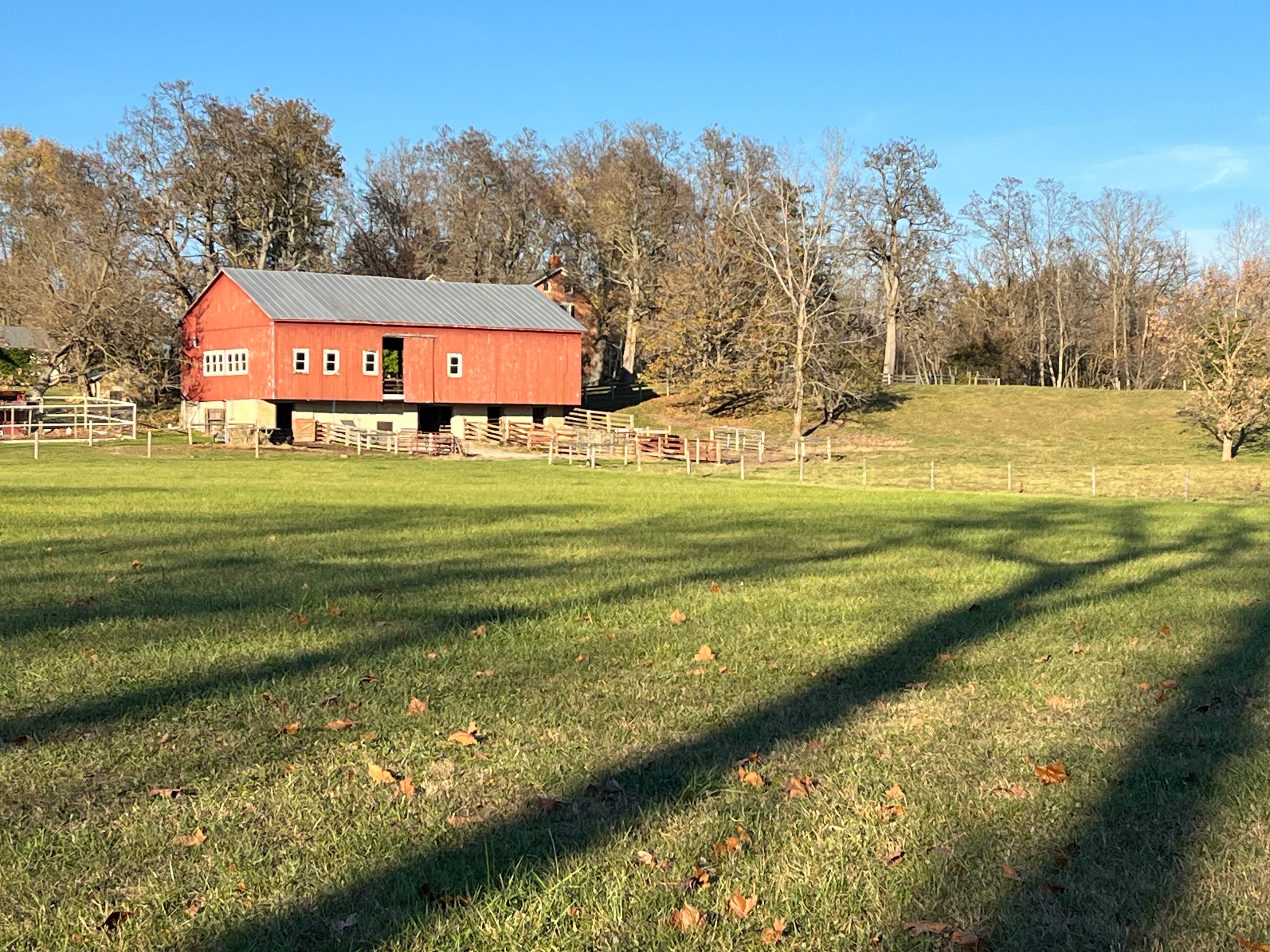 The Land of Milk And Honey