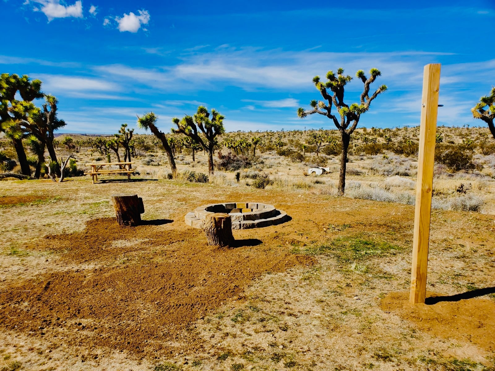 Views! 15 min to Joshua Park