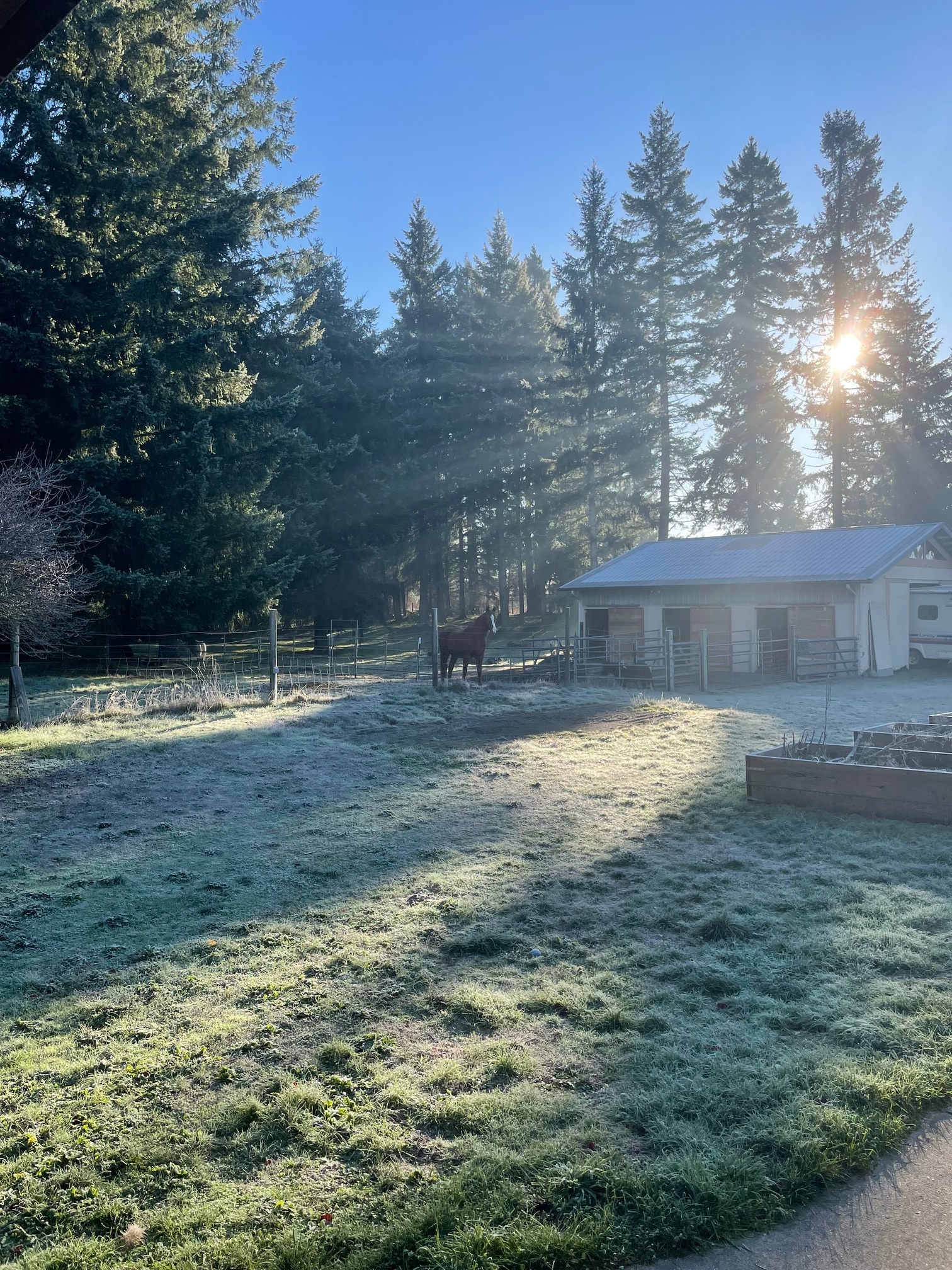 Country Refuge Close to City