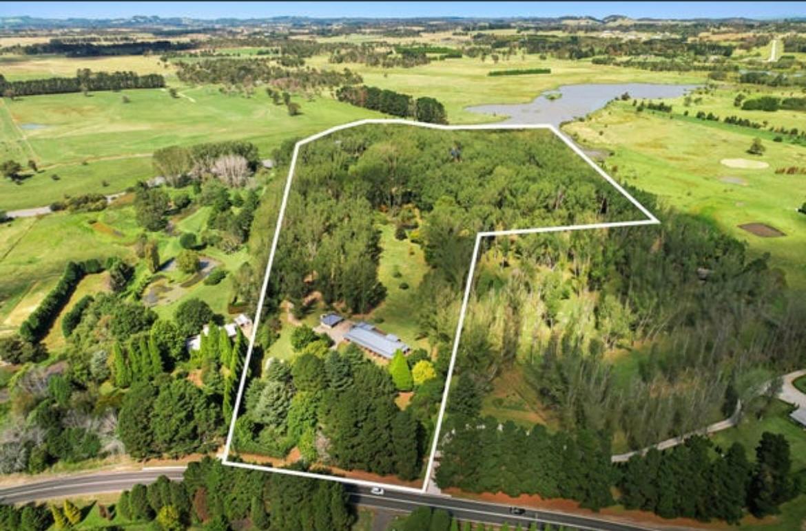 Wings of the Carribee