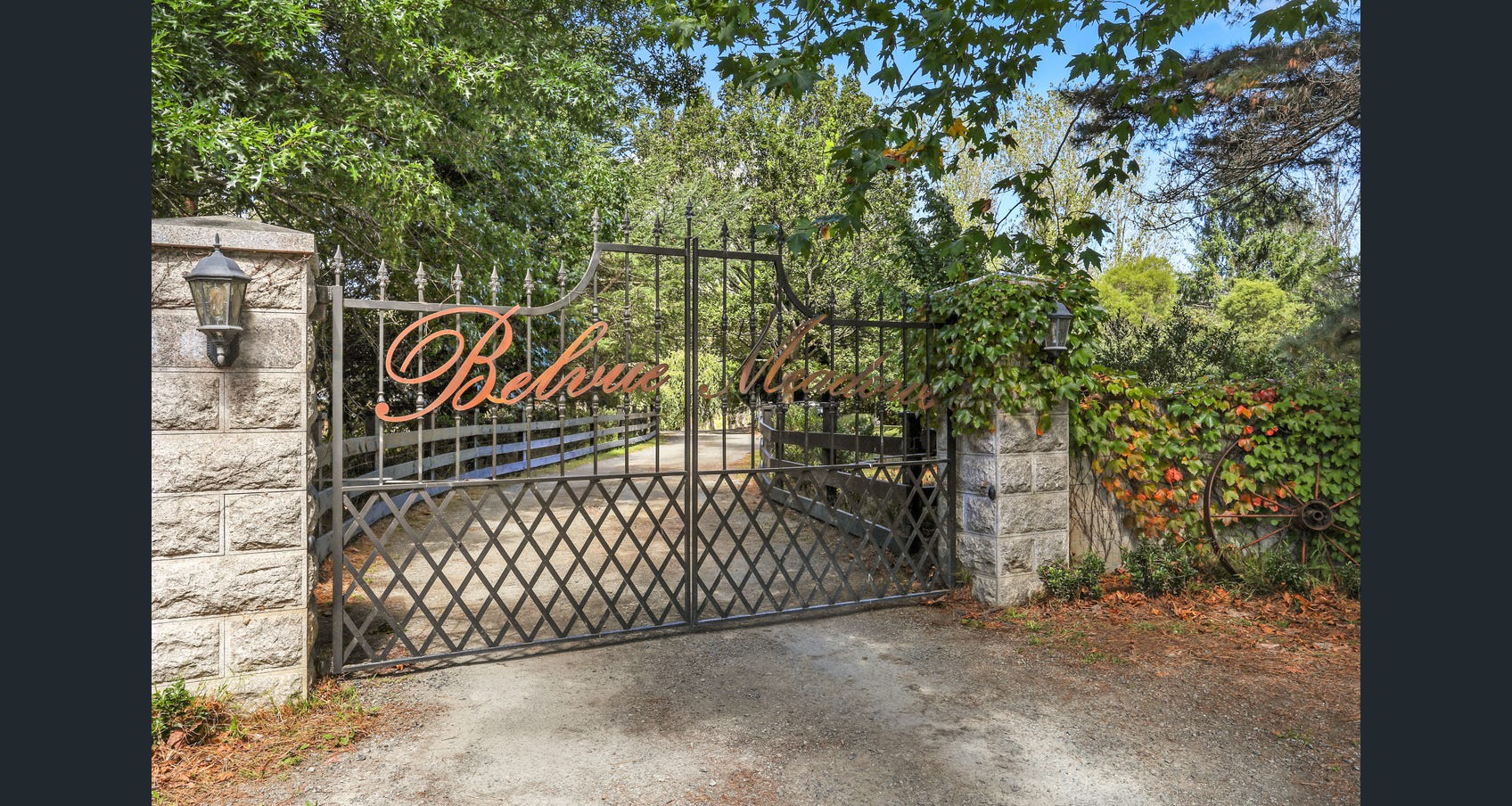 Wings of the Carribee