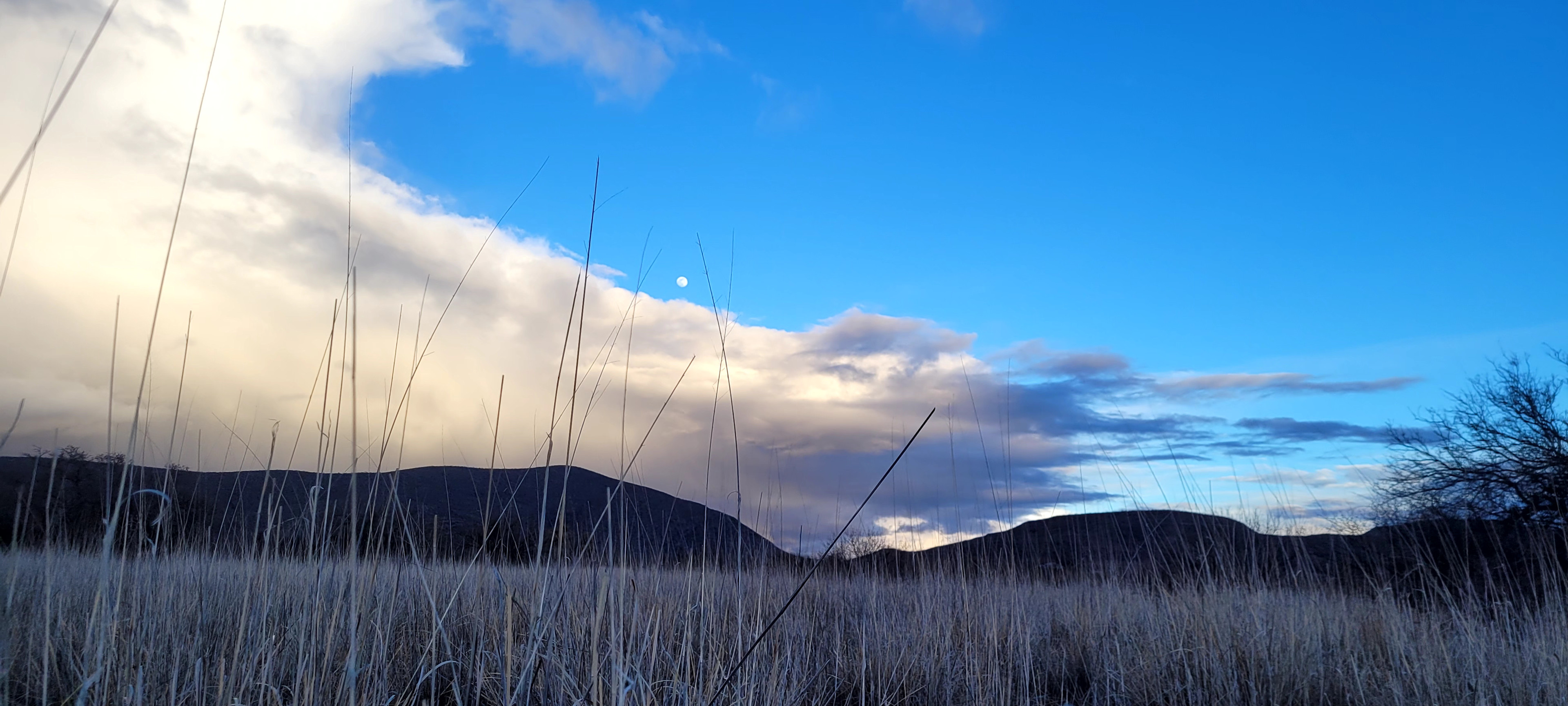 18+ Artists' Nature Retreat