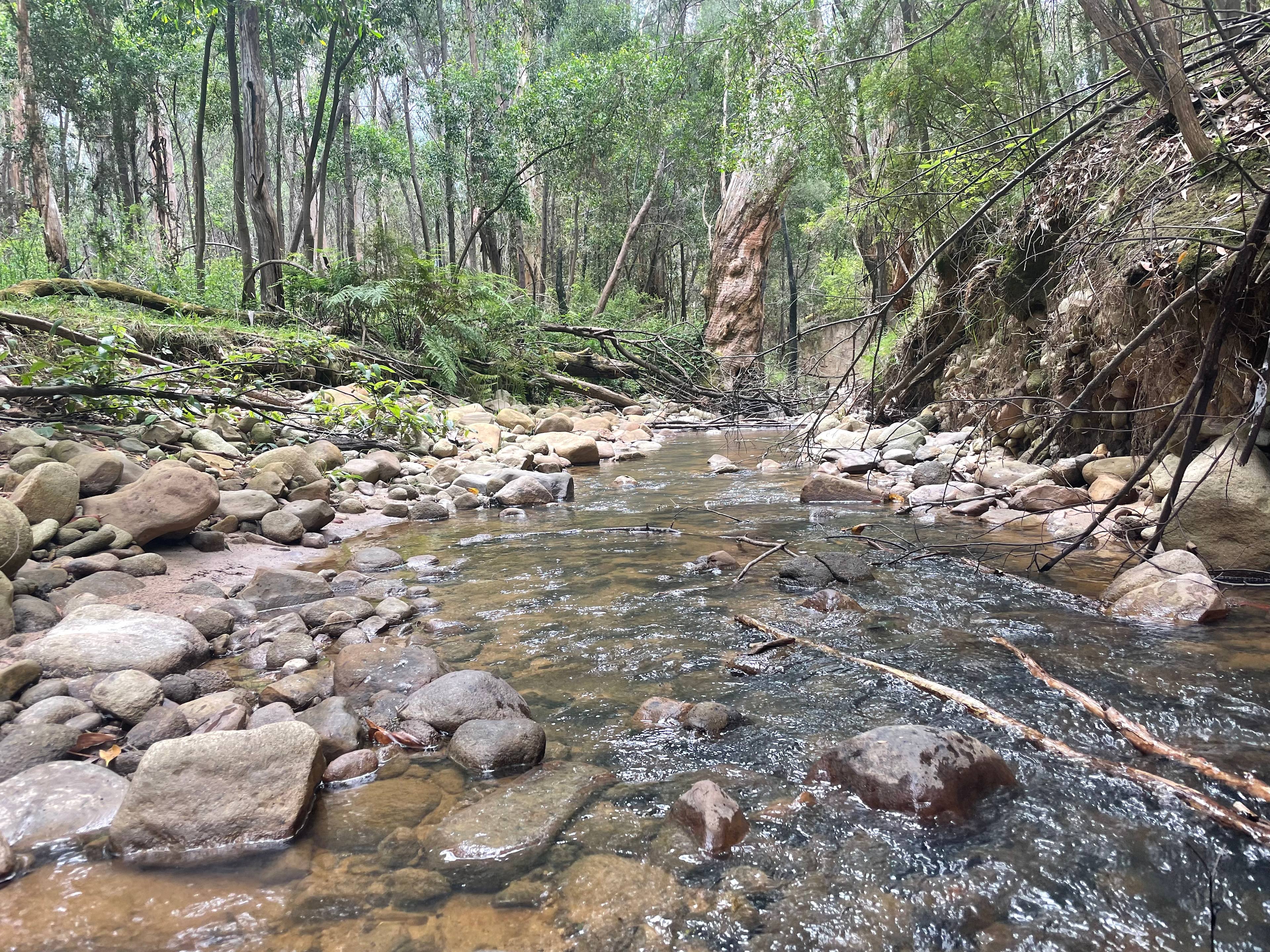 Cathedral Views Campsite