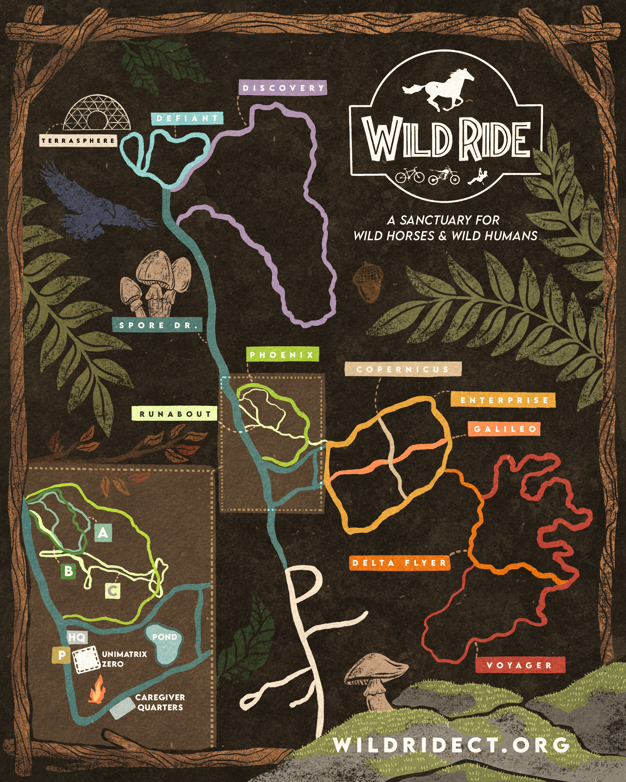 Glamping with the Wild Horses