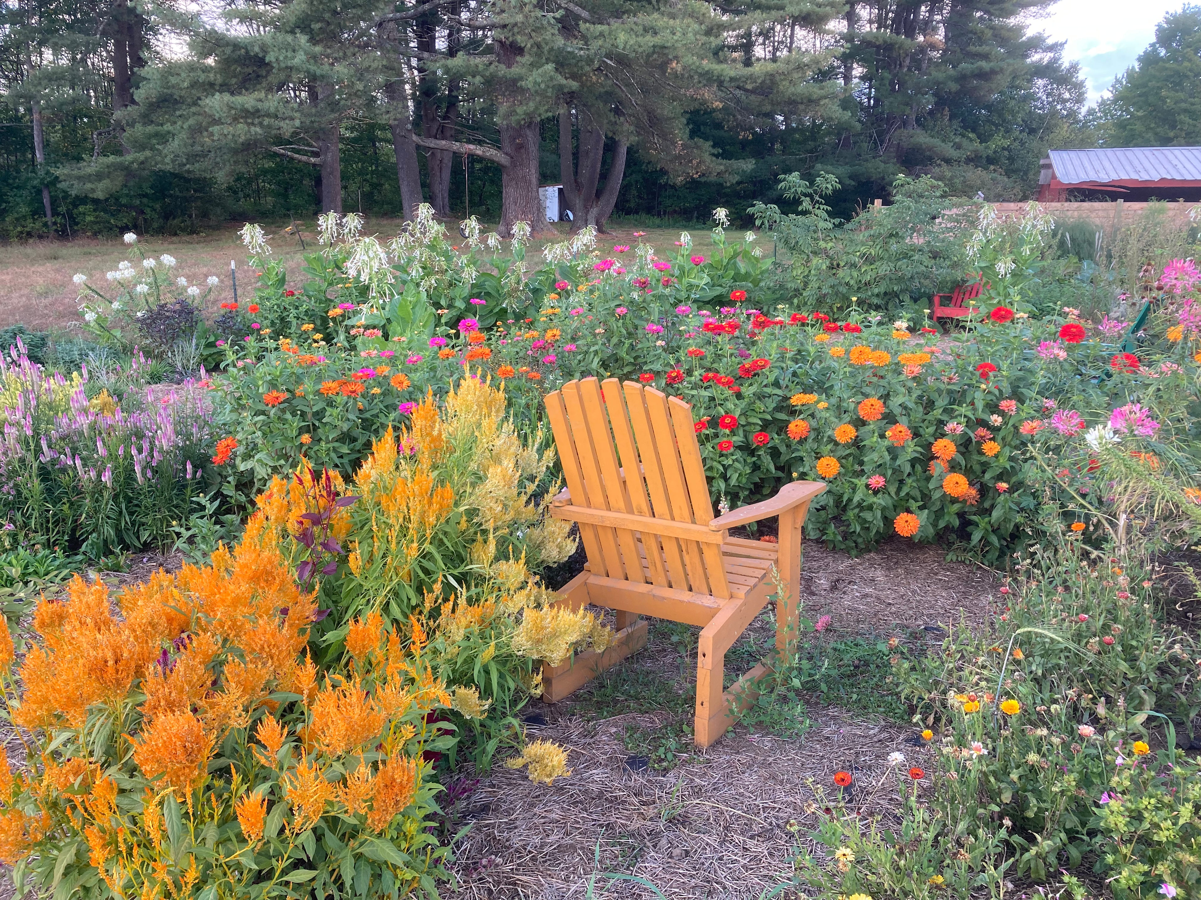 Fairwinds Farm Glamping