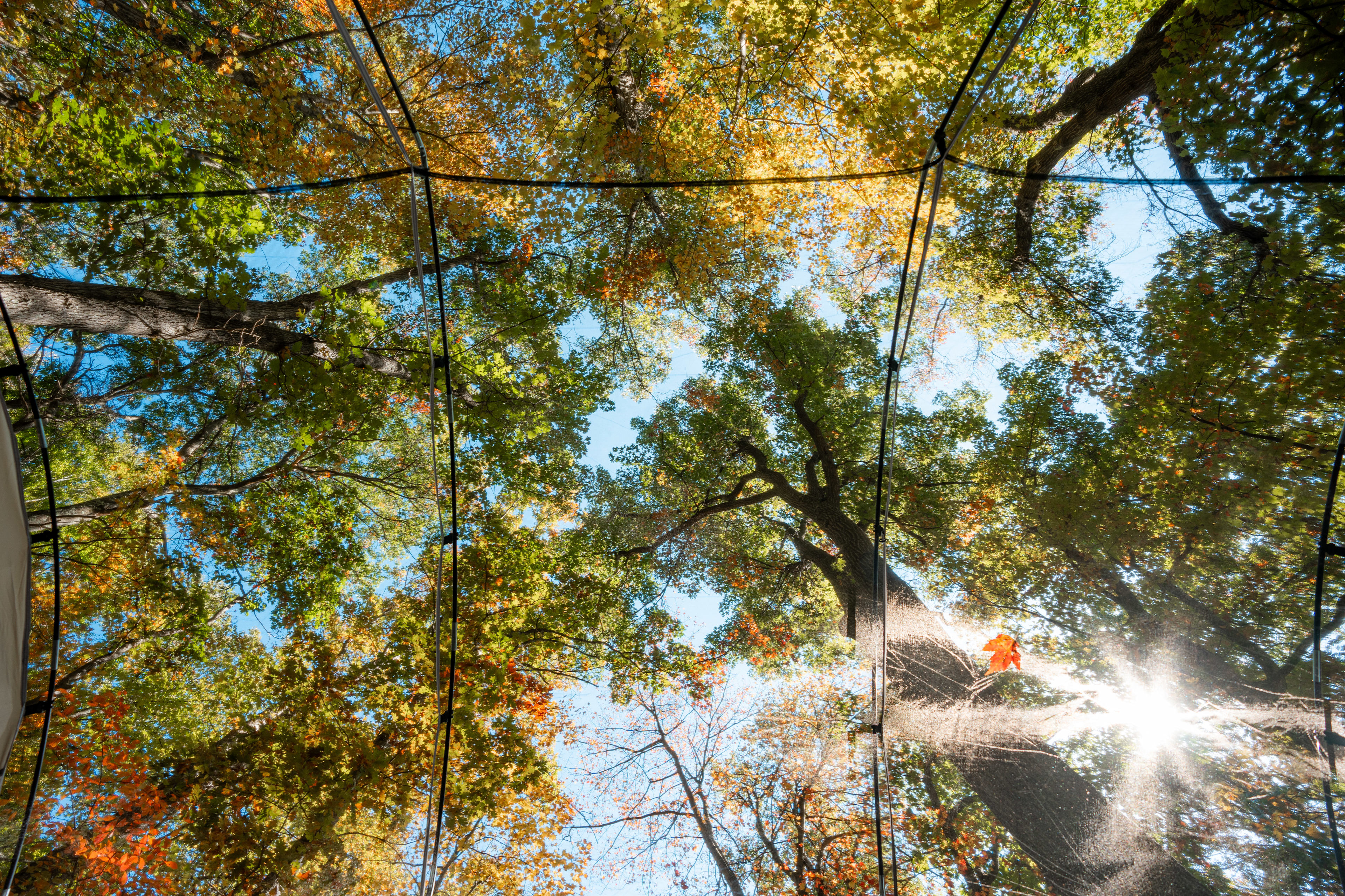 Ohiopyle Camping @ Benner's