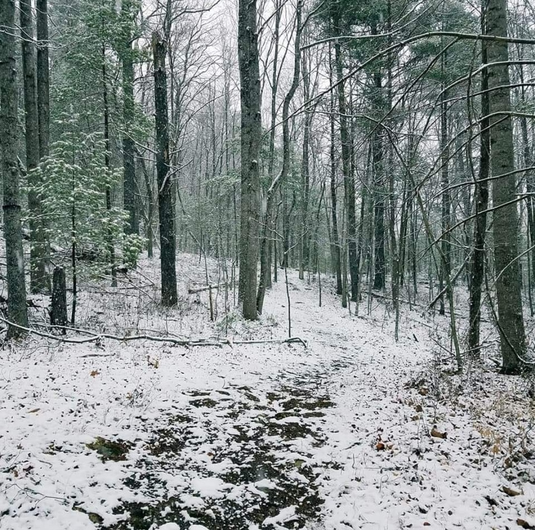 The Meadow At Stone Soup