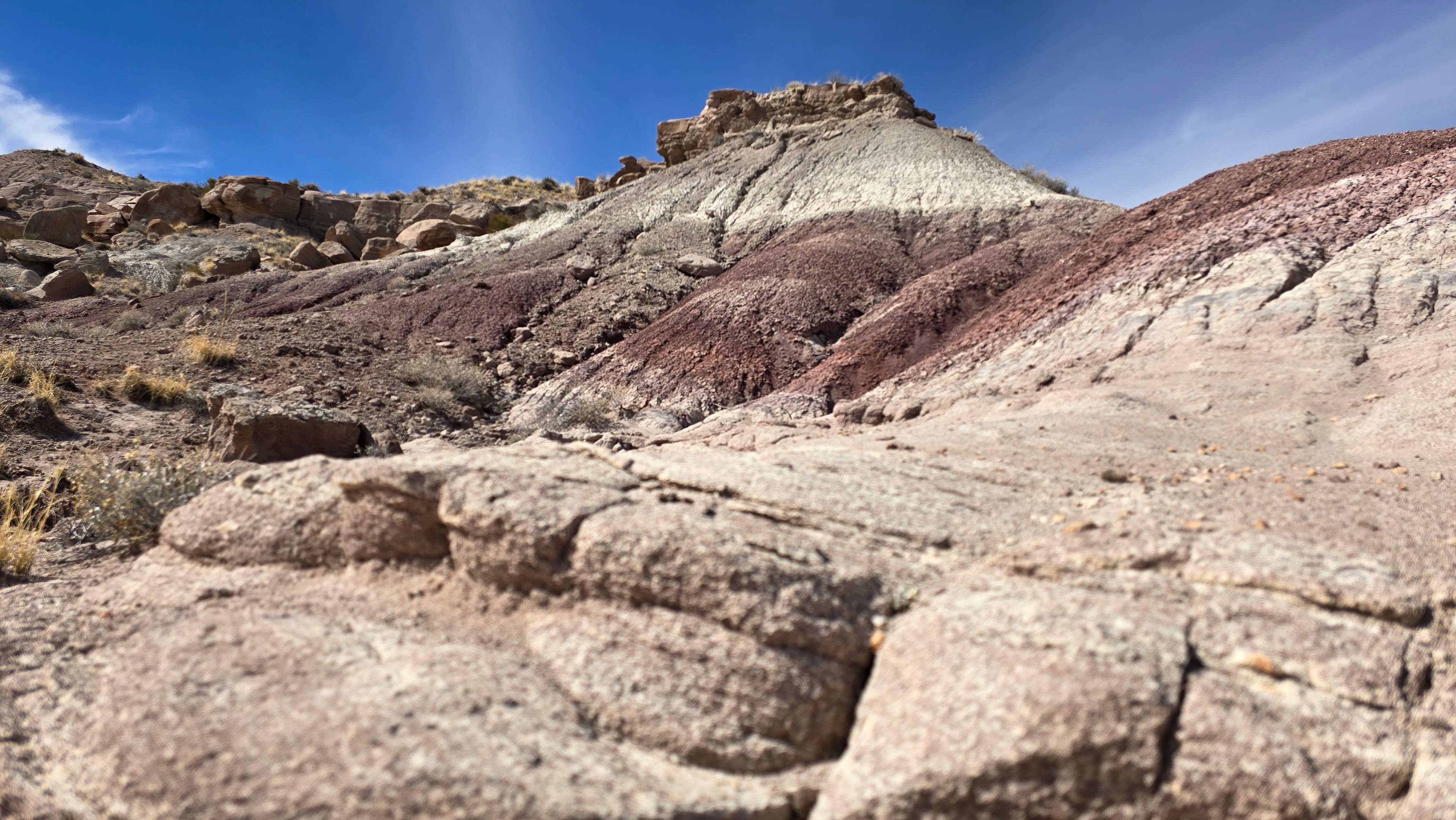 Uranium Springs