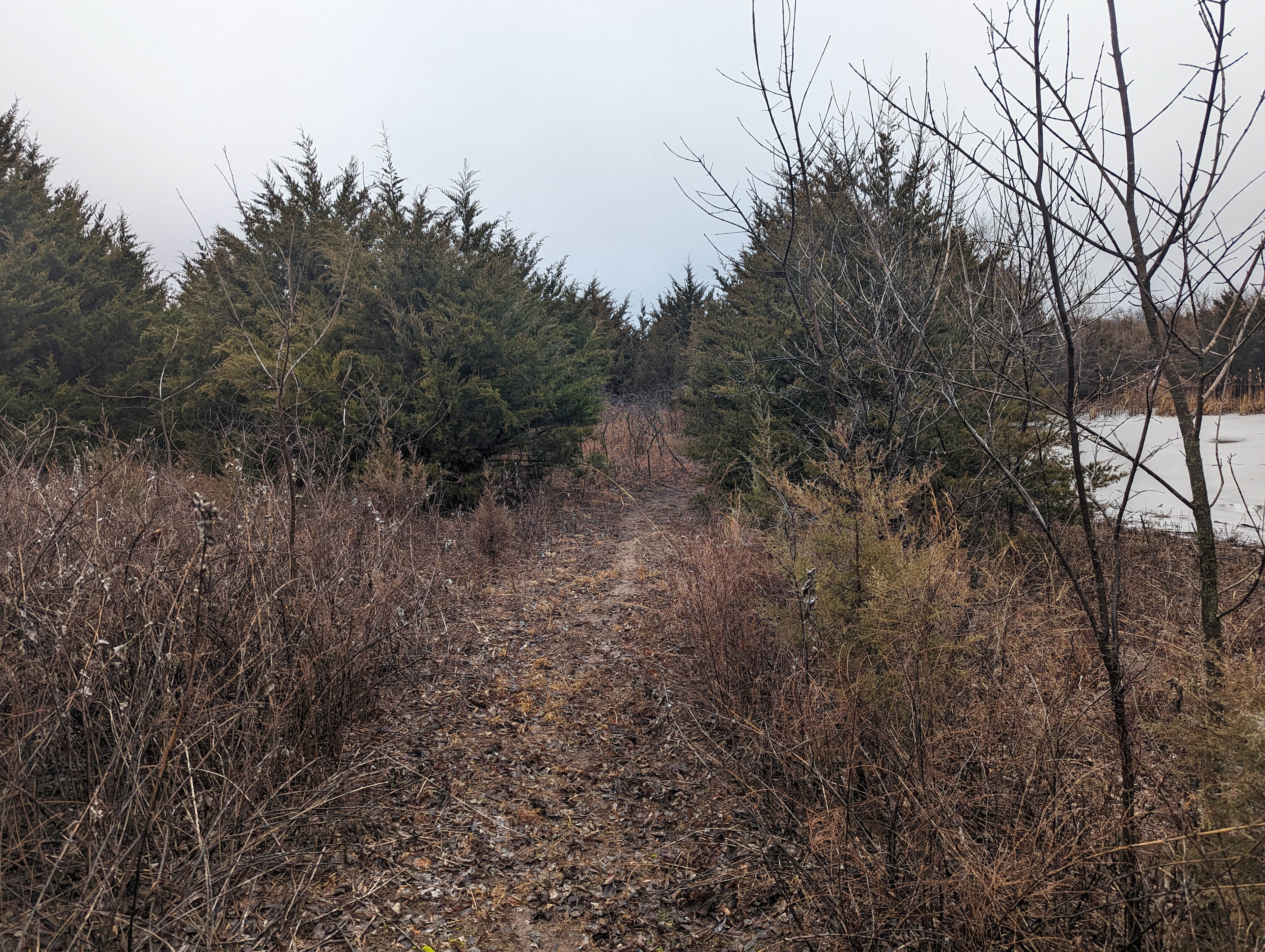 Dave's Dog Oasis And Campground