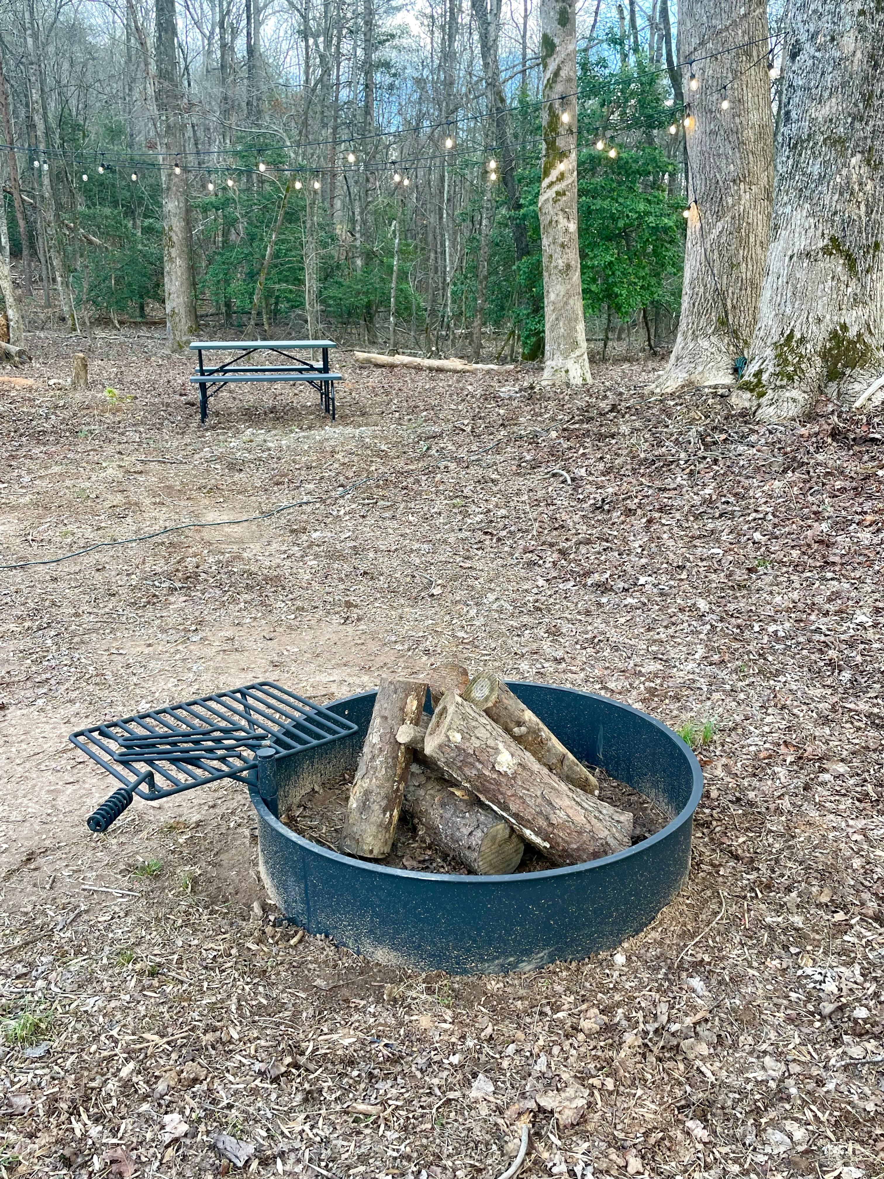 All the woods you need to gather firewood! 