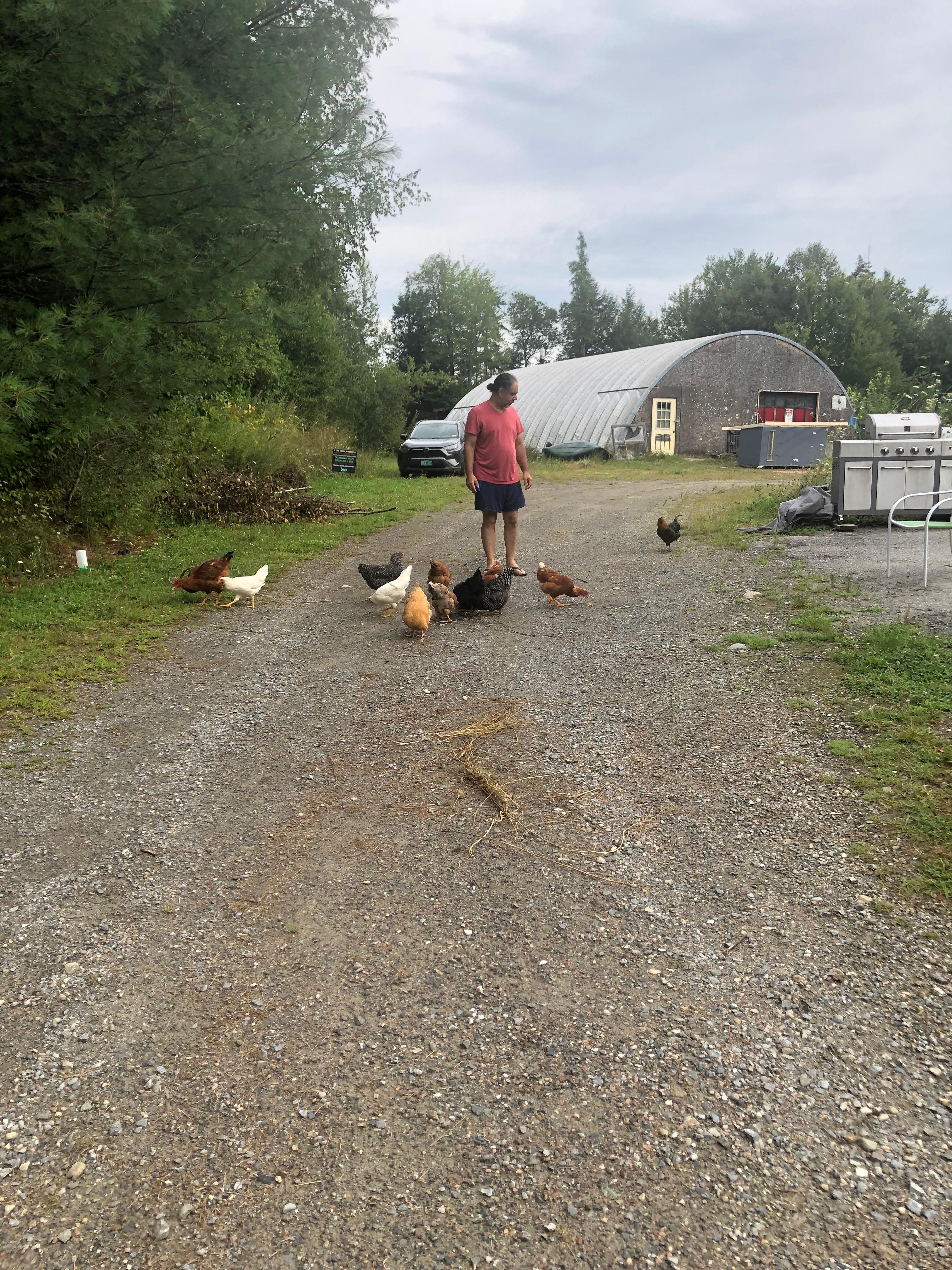 Hatched Happiness Homestead