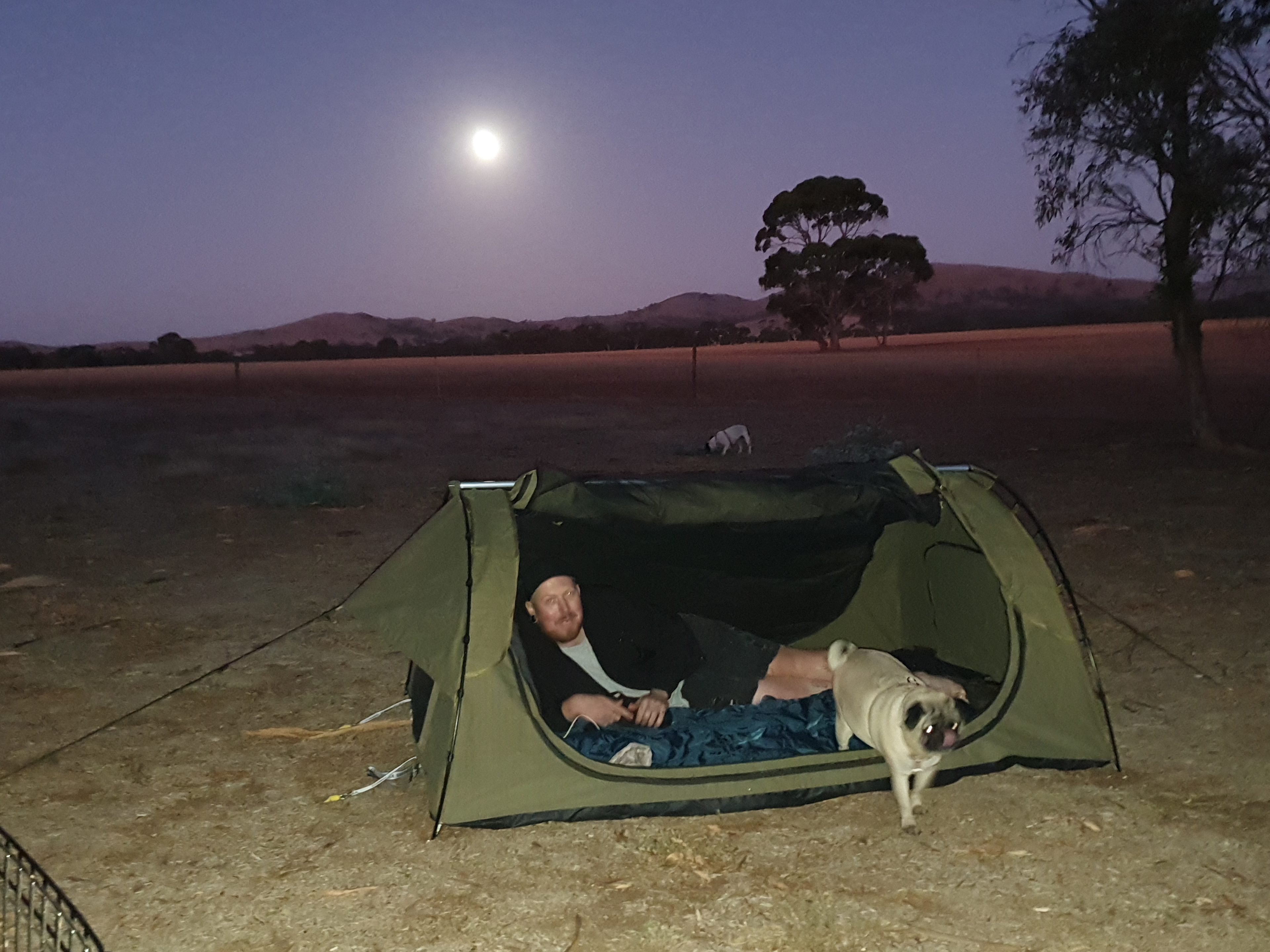 Cartapo Creek - Farm Stay