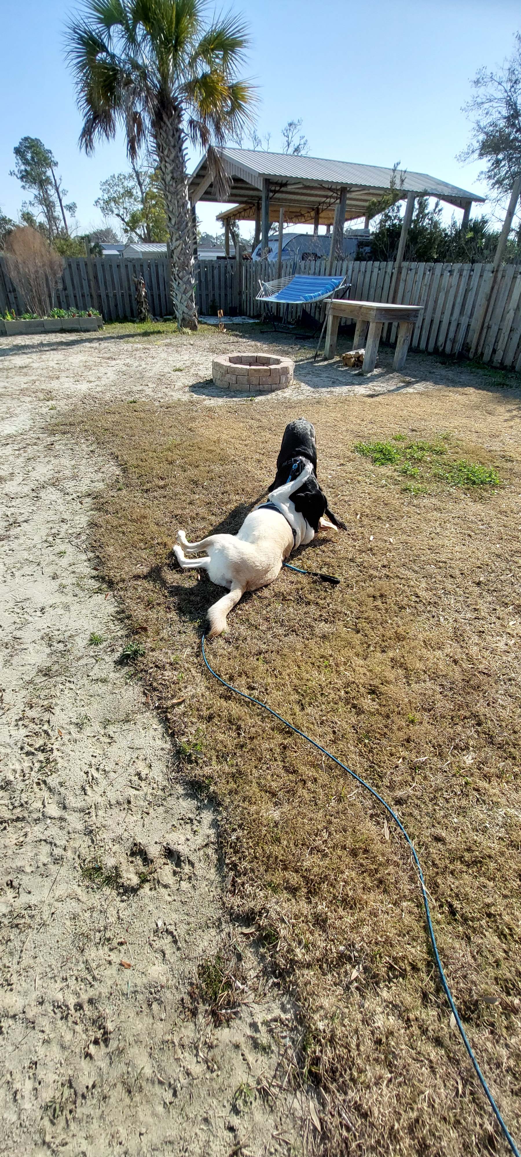 The Gulf Stream Beach Camp