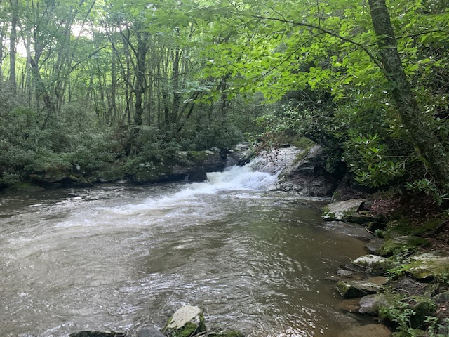 Hellbender Farm
