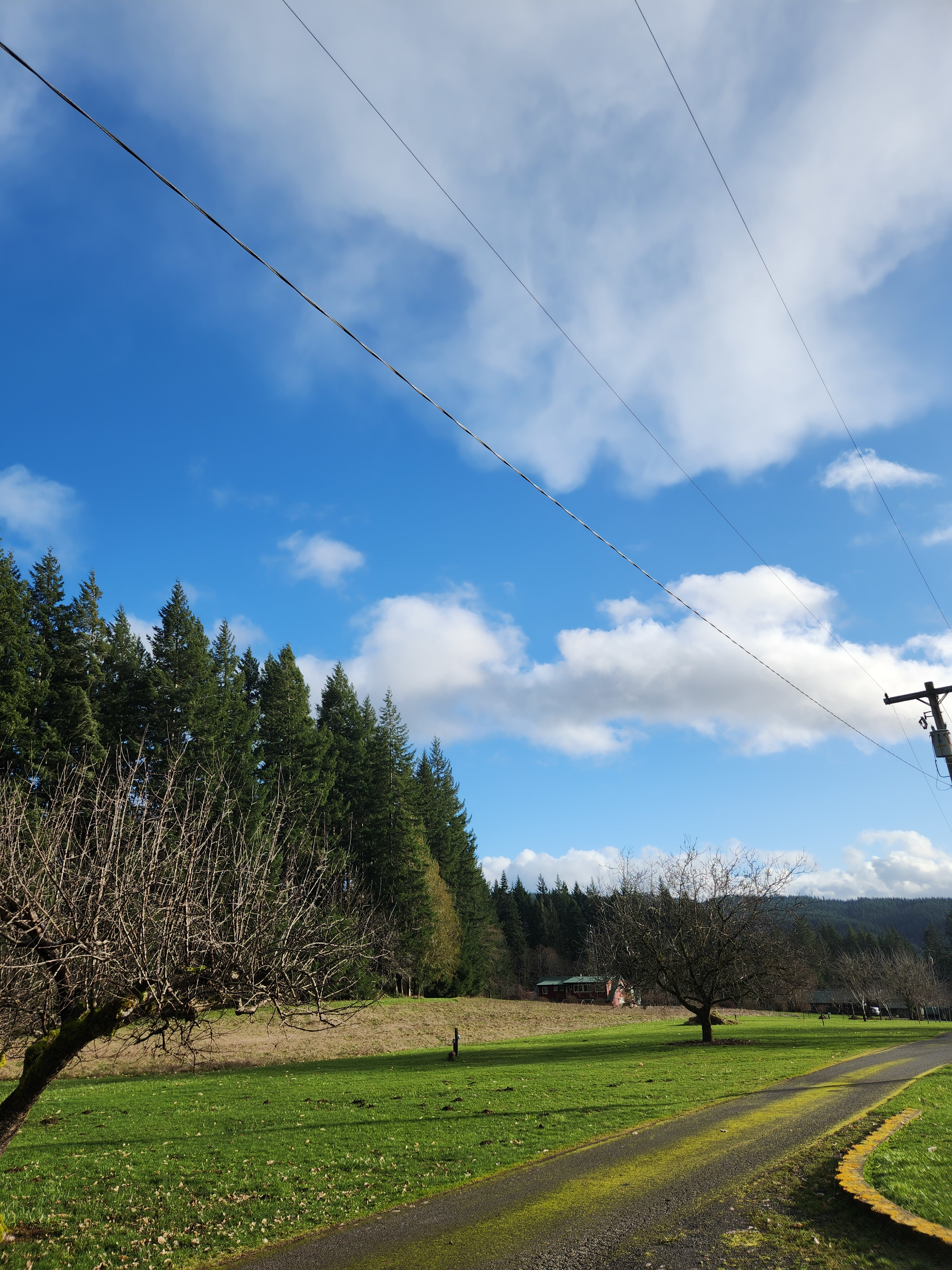 RV+ Rainbow Falls / Willapa Trails