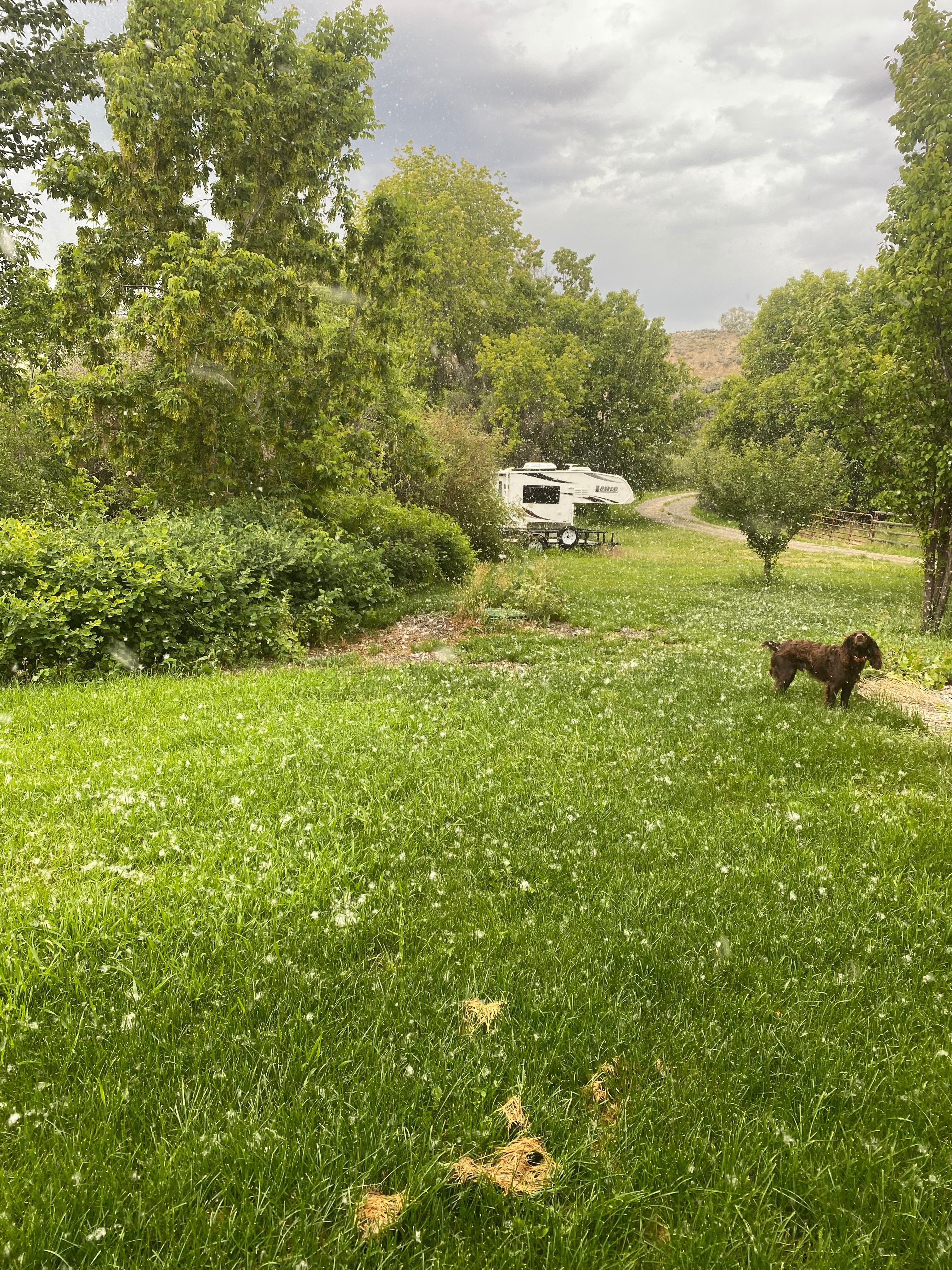Lemhi River Natural Area Camping