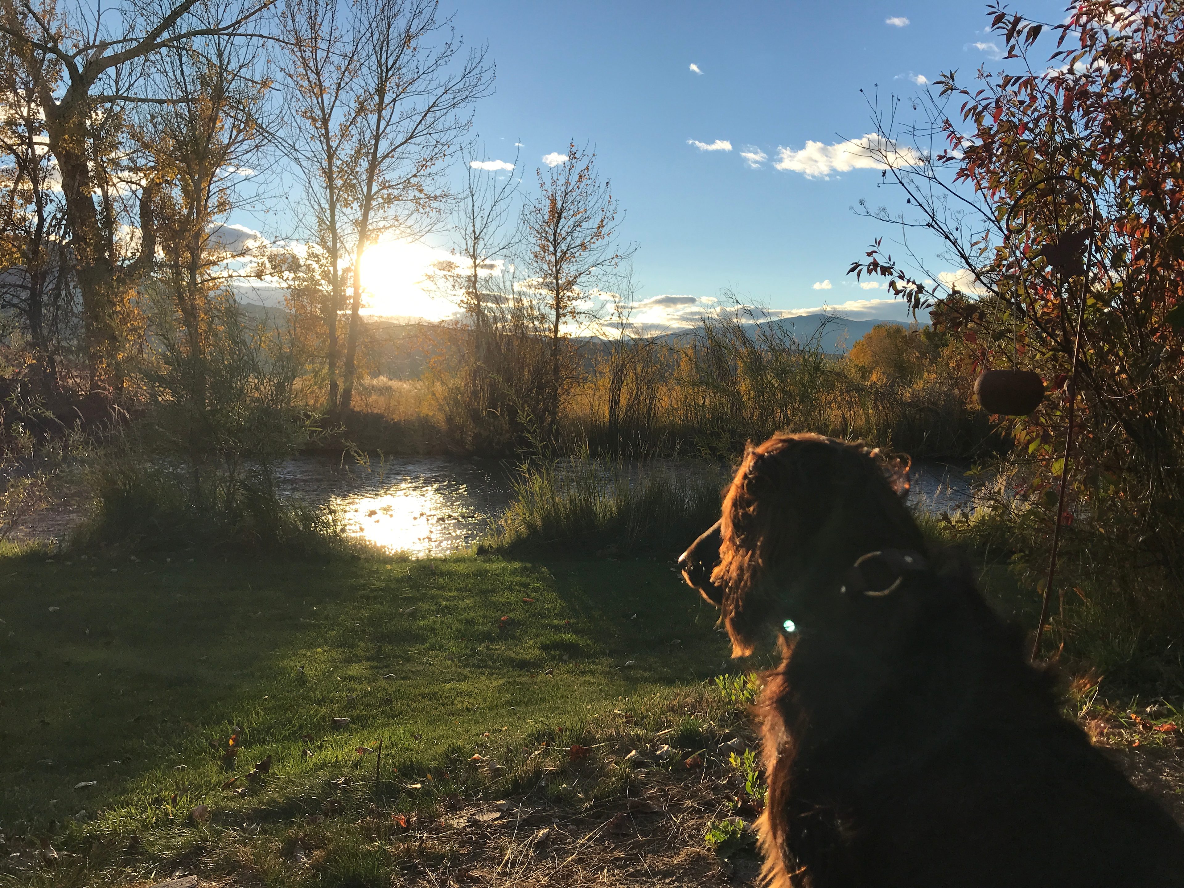 Lemhi River Natural Area Camping