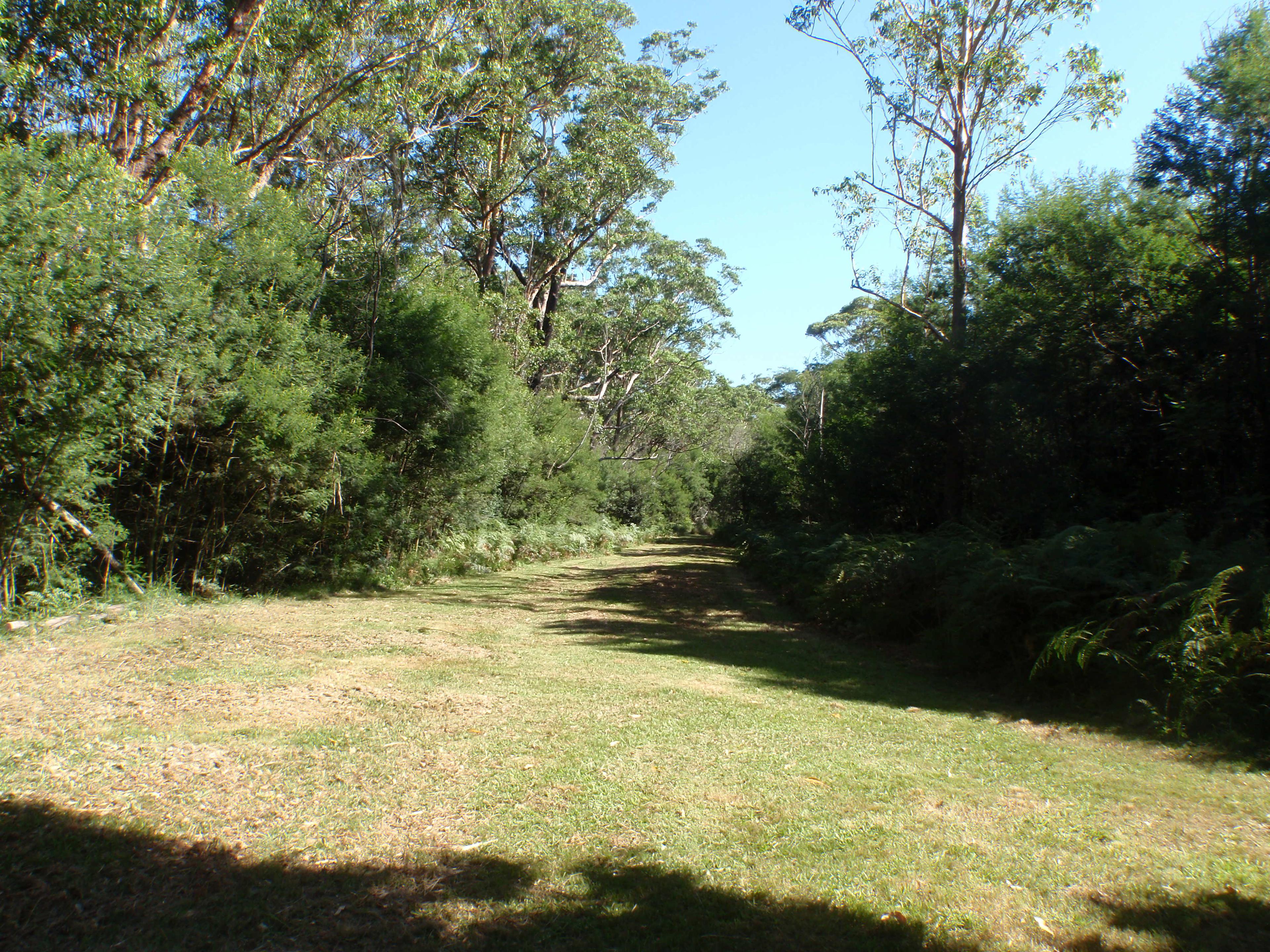 Fat Lamb Farm Camping