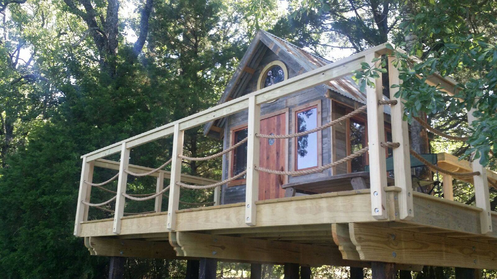   Charming Hummingbird Tree house