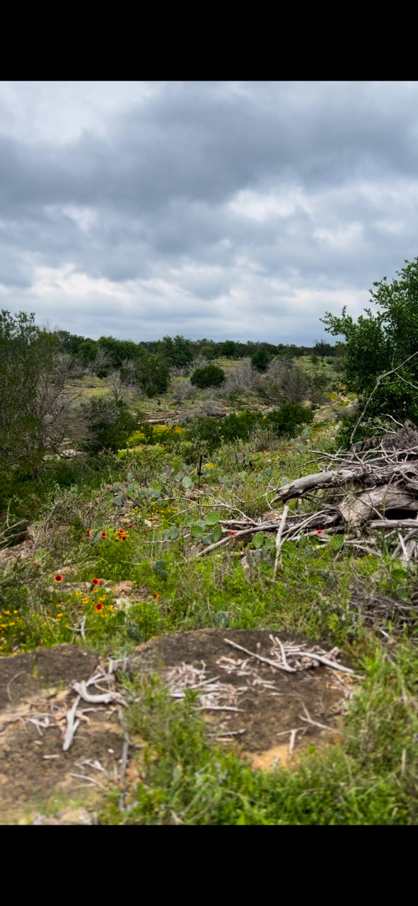 Hill Country Camping