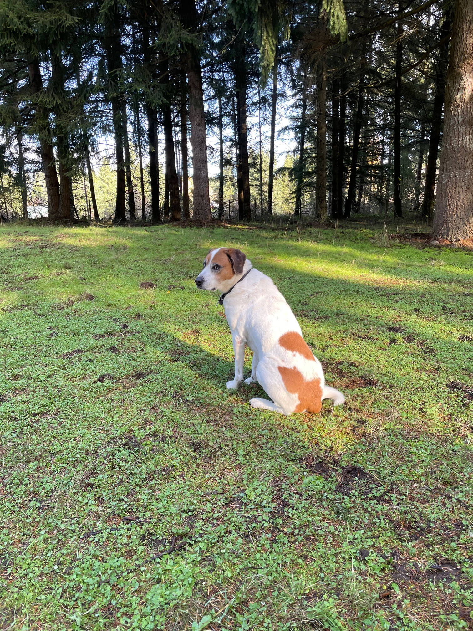 Country Refuge Close to City