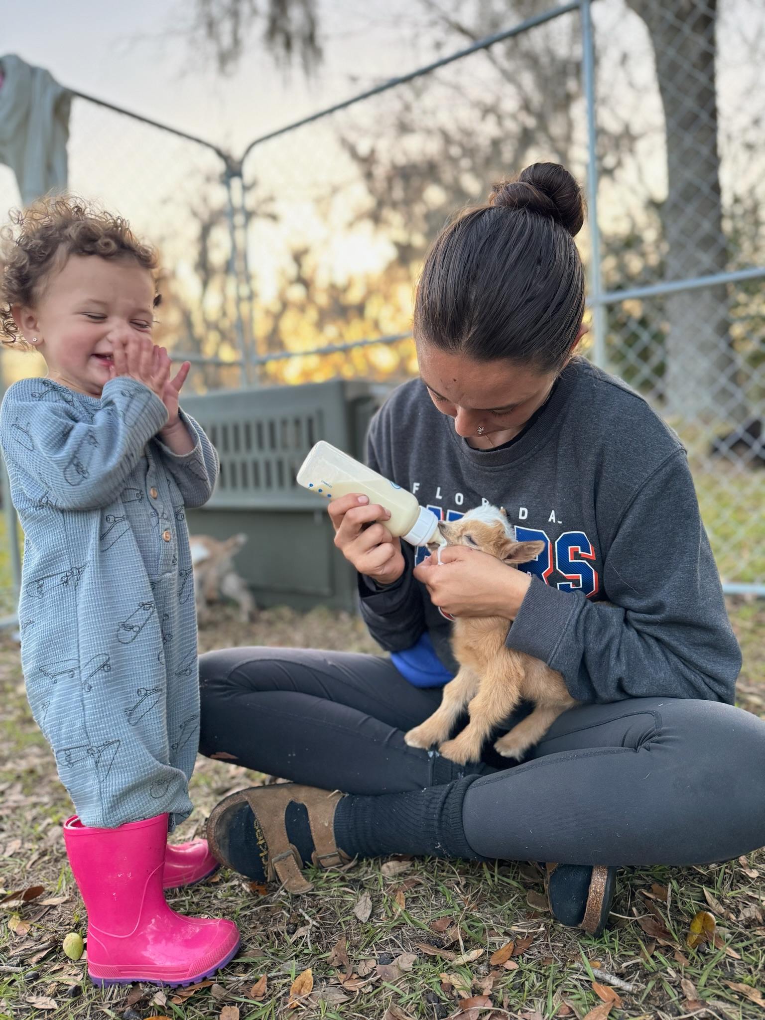 Grace Haven Homestead